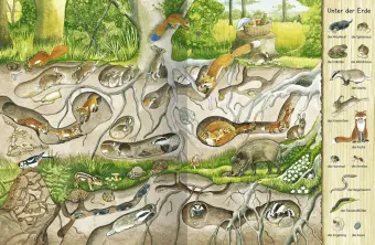 Rückseite: 9783480226177 | Mein erstes Wimmelbuch - Im Wald | Christine Henkel | Buch | 16 S.