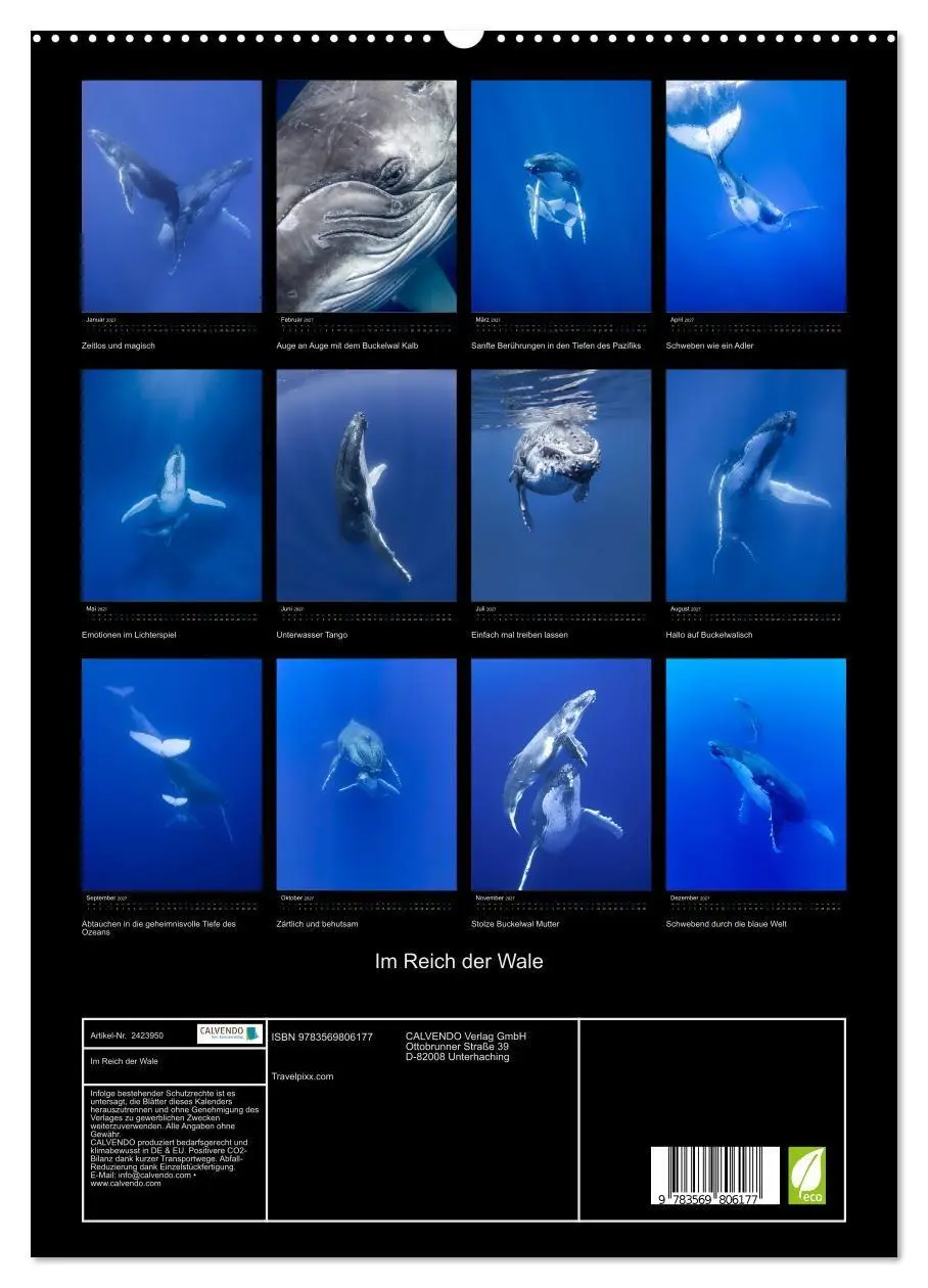 Bild: 9783569806177 | Im Reich der Wale (hochwertiger Premium Wandkalender 2027 DIN A2...