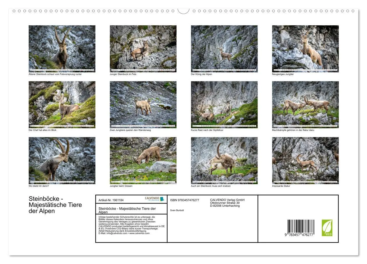 Bild: 9783457476277 | Steinböcke - Majestätische Tiere der Alpen (hochwertiger Premium...