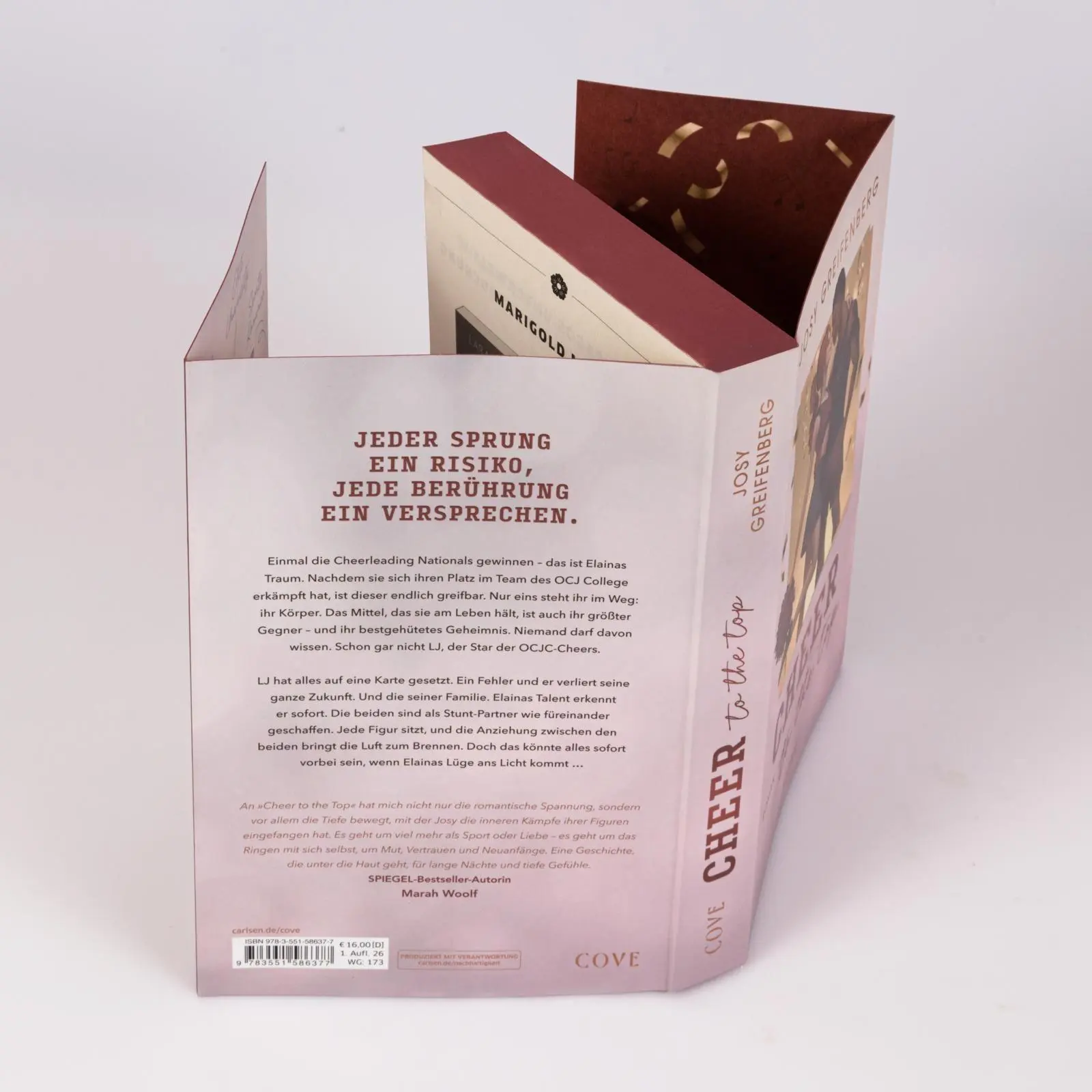 Bild: 9783551586377 | Cheer to the Top (Cheer 1) | Josy Greifenberg | Taschenbuch | 448 S.