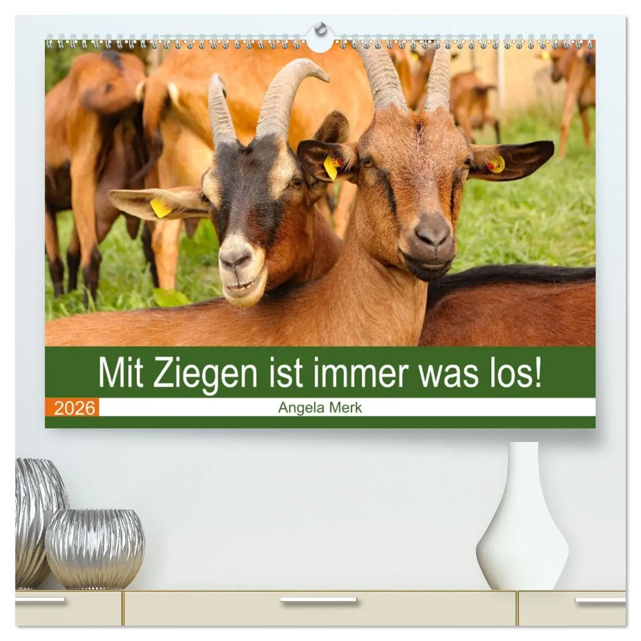 Cover: 9783457456477 | Mit Ziegen ist immer was los! (hochwertiger Premium Wandkalender...