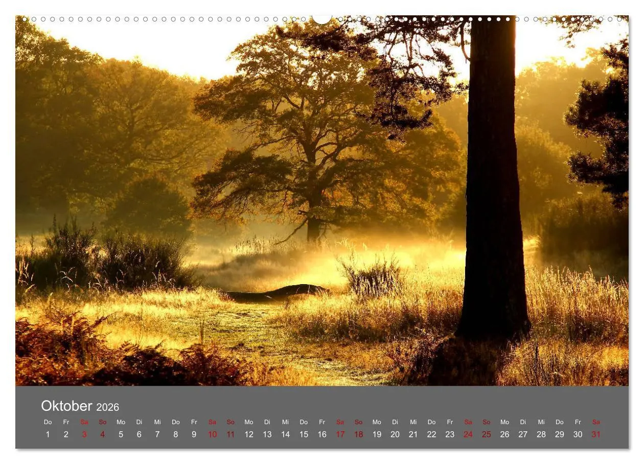 Bild: 9783457766477 | Wahner Heide - Aussichten und Begegnungen (hochwertiger Premium...