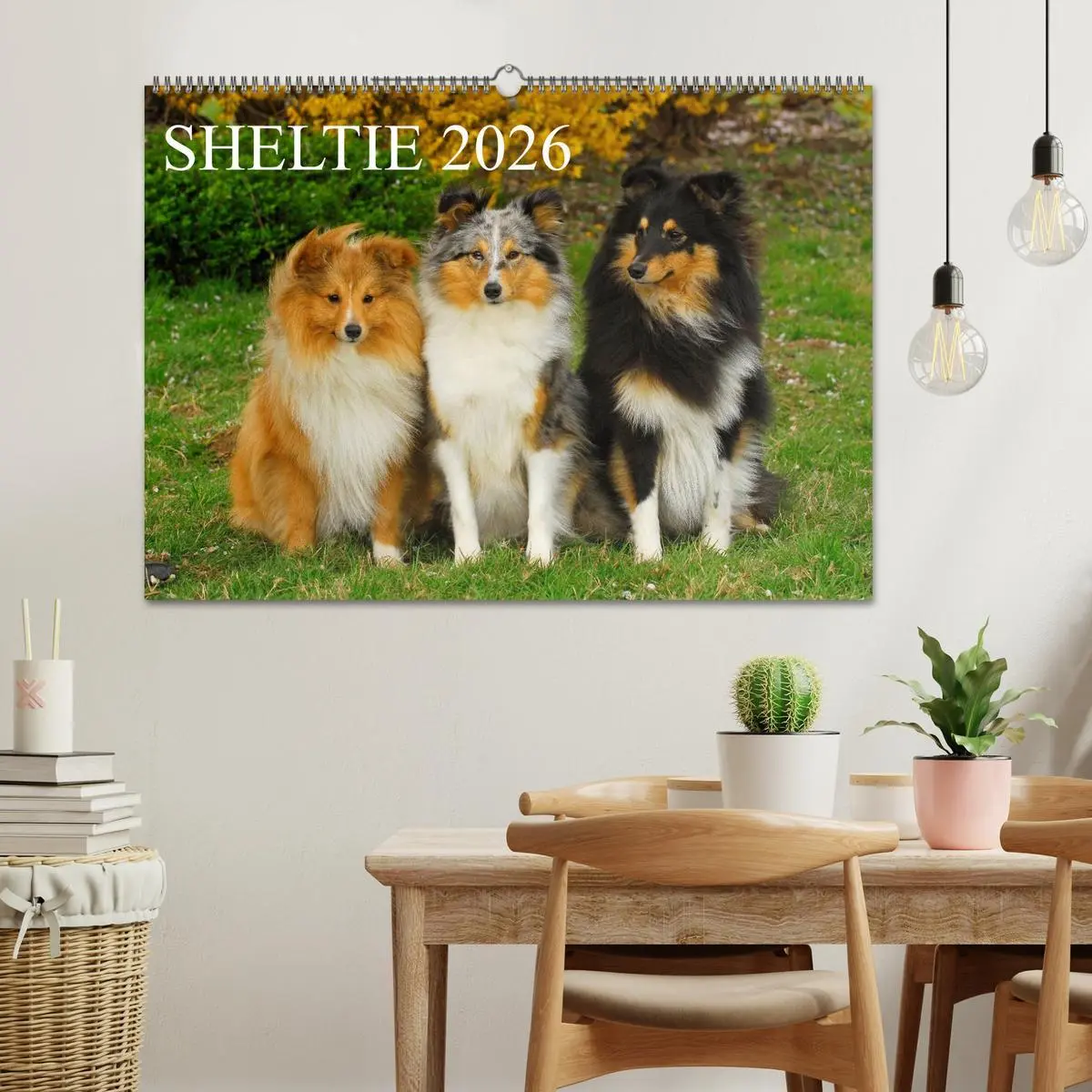 Bild: 9783516166477 | Sheltie 2026 (Wandkalender 2026 DIN A2 quer), CALVENDO Monatskalender