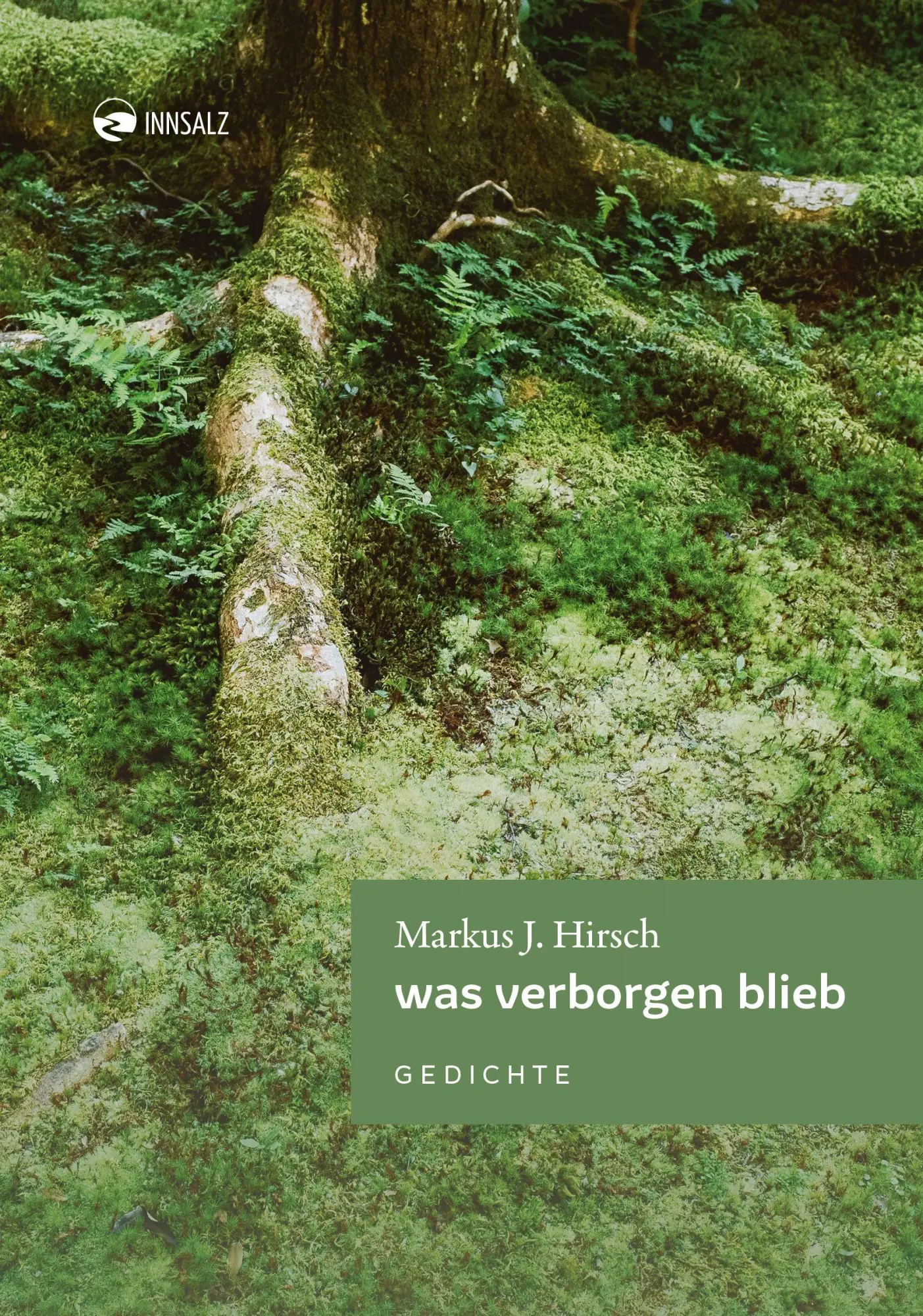 Cover: 9783903496477 | was verborgen blieb | Gedichte | Markus J. Hirsch | Buch | Deutsch