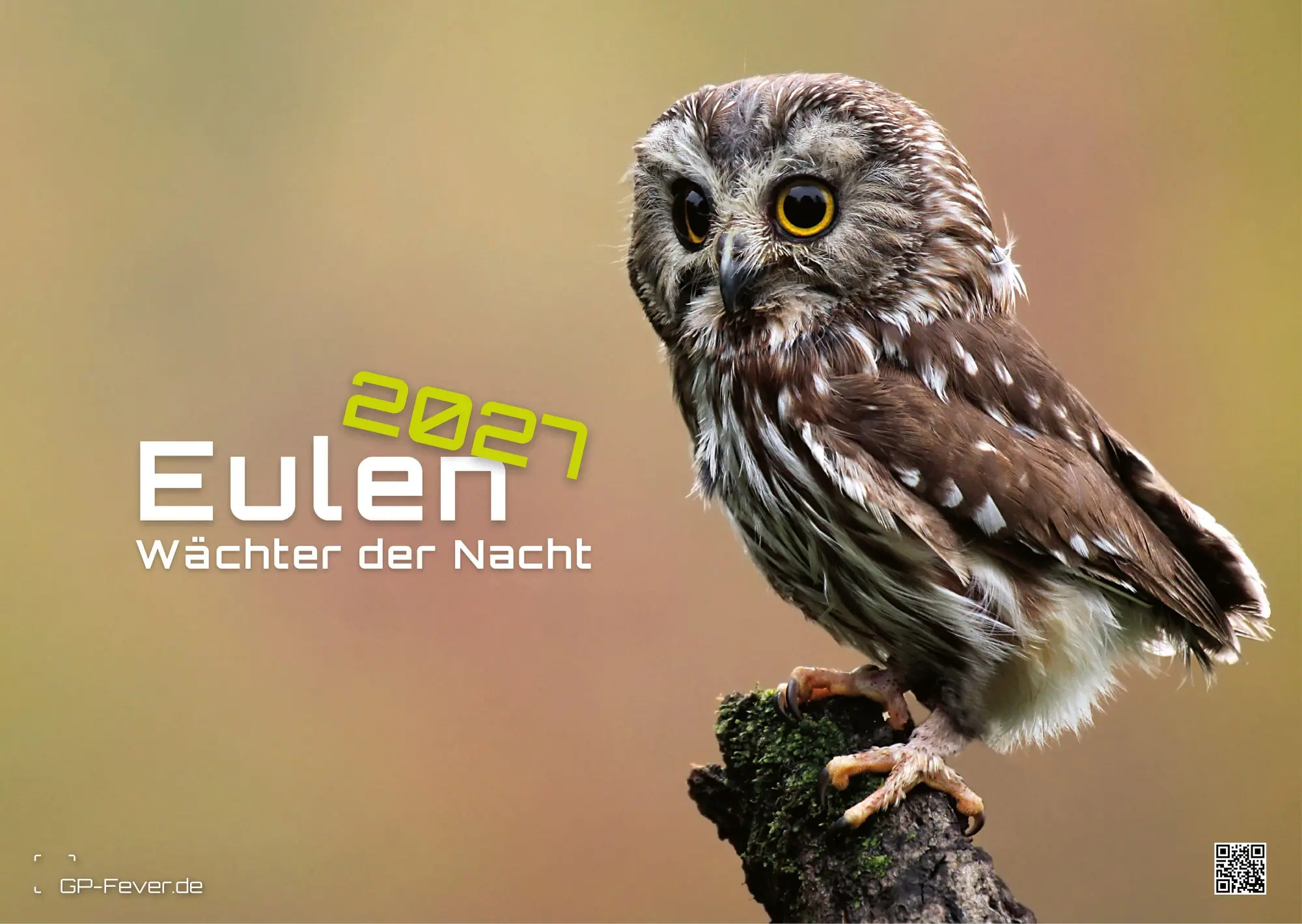 Cover: 9783986736477 | Eulen - Wächter der Nacht - 2027 - Kalender DIN A3 | GP-Fever. de