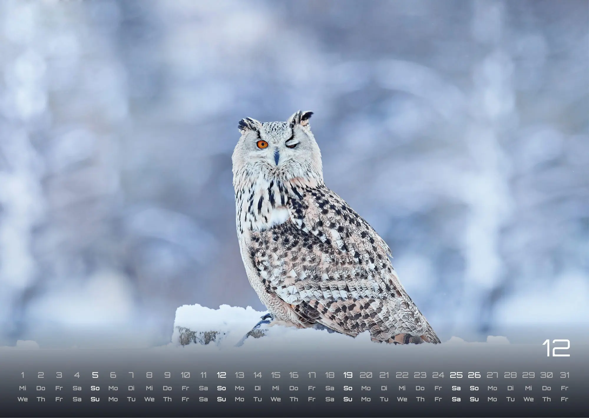 Bild: 9783986736477 | Eulen - Wächter der Nacht - 2027 - Kalender DIN A3 | GP-Fever. de