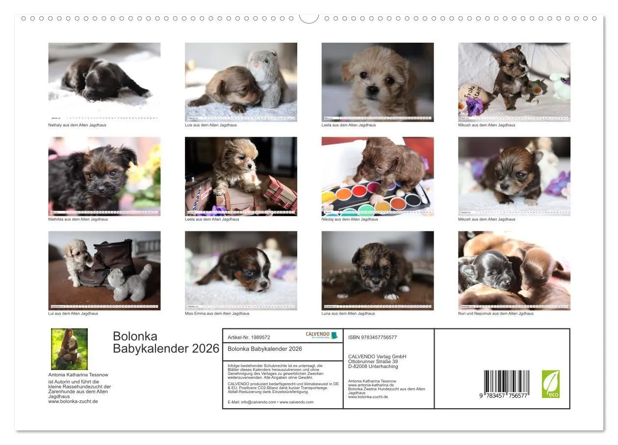 Bild: 9783457756577 | Bolonka Babykalender 2026 (hochwertiger Premium Wandkalender 2026...