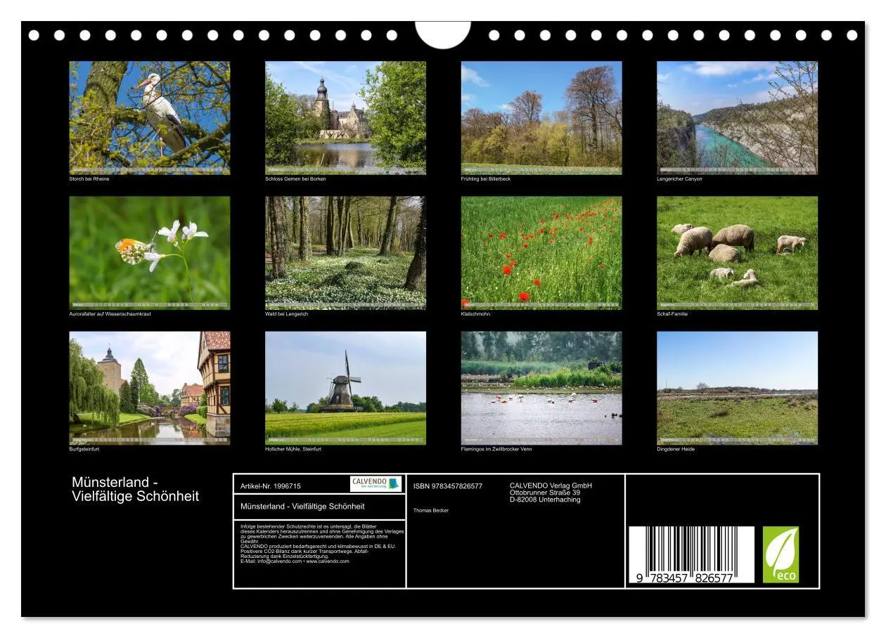 Bild: 9783457826577 | Münsterland - Vielfältige Schönheit (Wandkalender 2026 DIN A4...