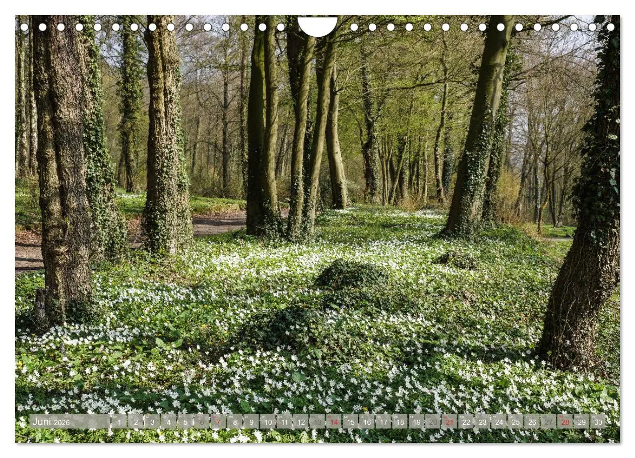 Bild: 9783457826577 | Münsterland - Vielfältige Schönheit (Wandkalender 2026 DIN A4...
