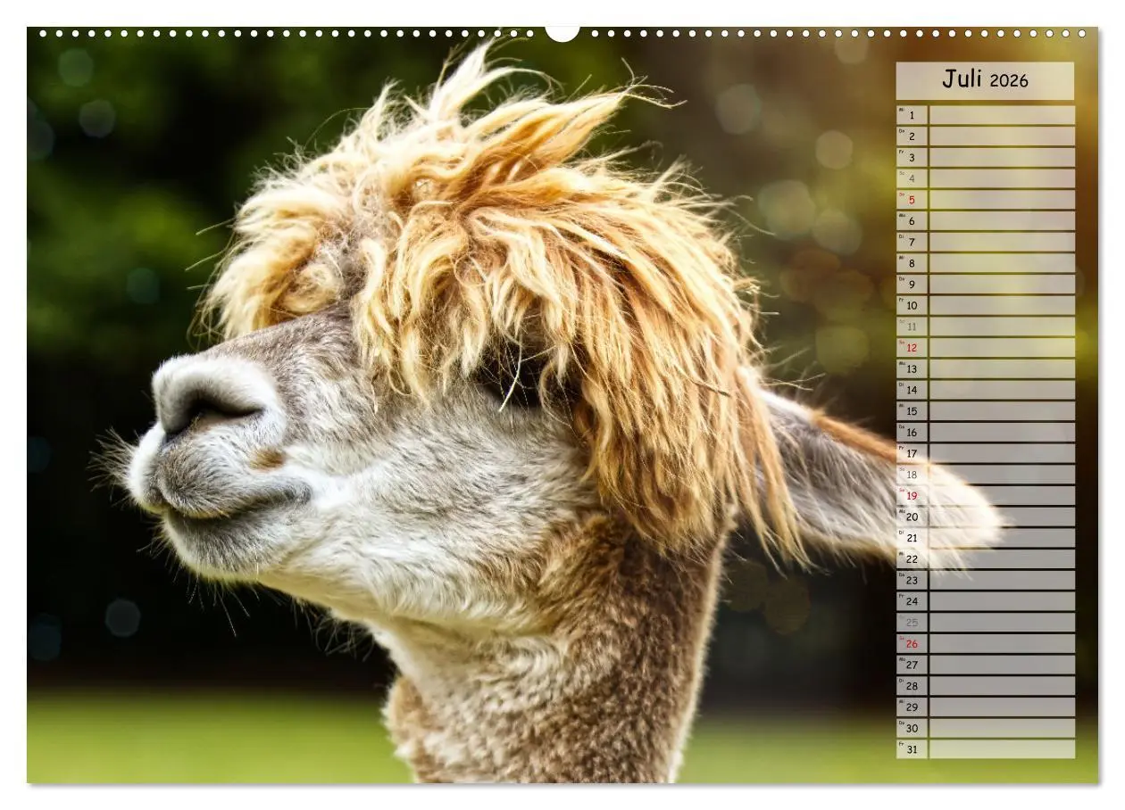 Bild: 9783457436677 | Alpaka, coole Typen mit wilden Frisuren (hochwertiger Premium...
