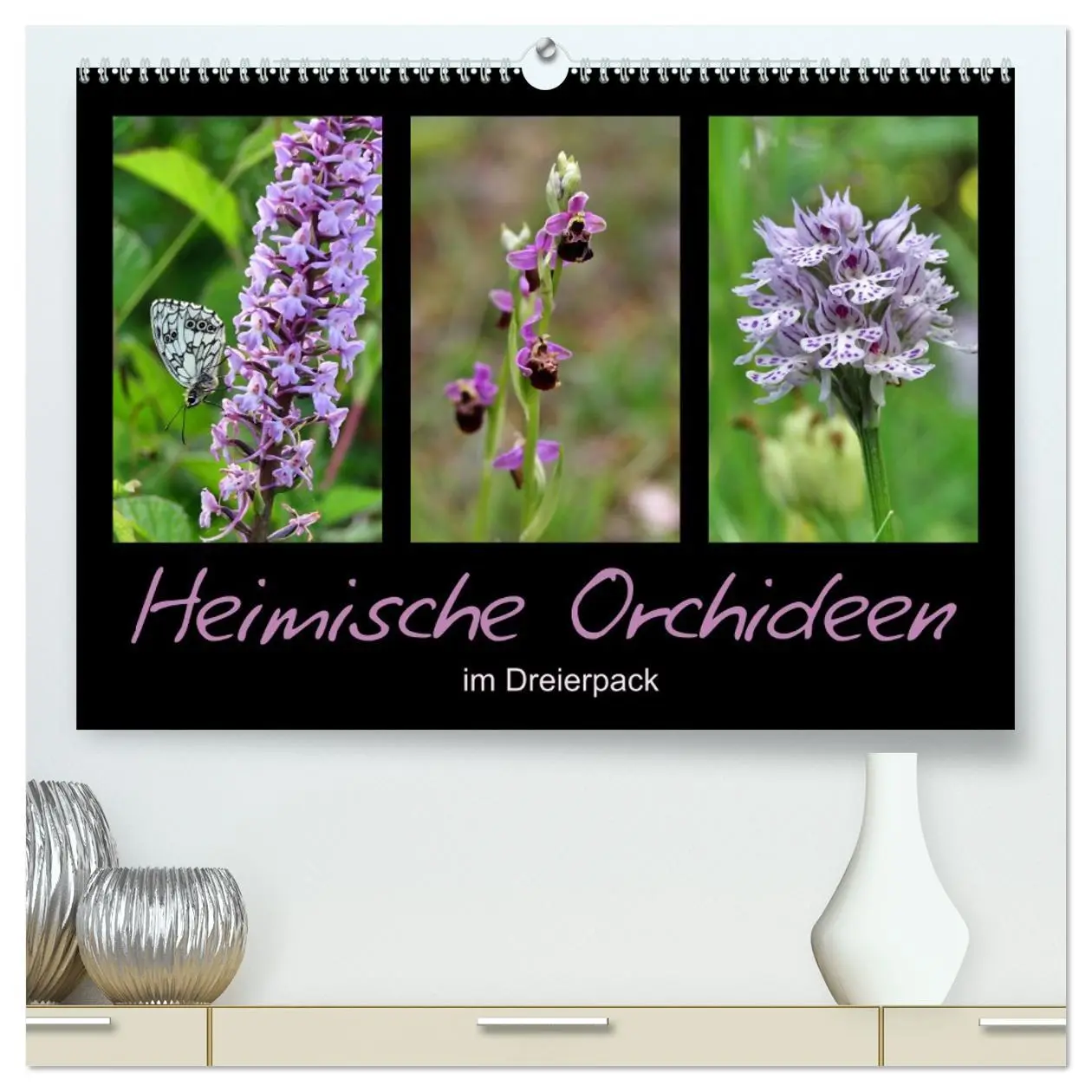 Cover: 9783457676677 | Heimische Orchideen im Dreierpack (hochwertiger Premium...