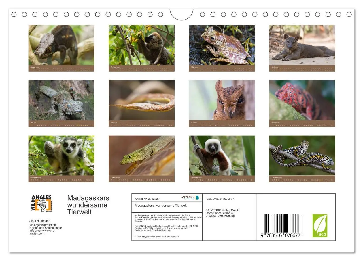 Bild: 9783516076677 | Madagaskars wundersame Tierwelt (Wandkalender 2026 DIN A4 quer),...