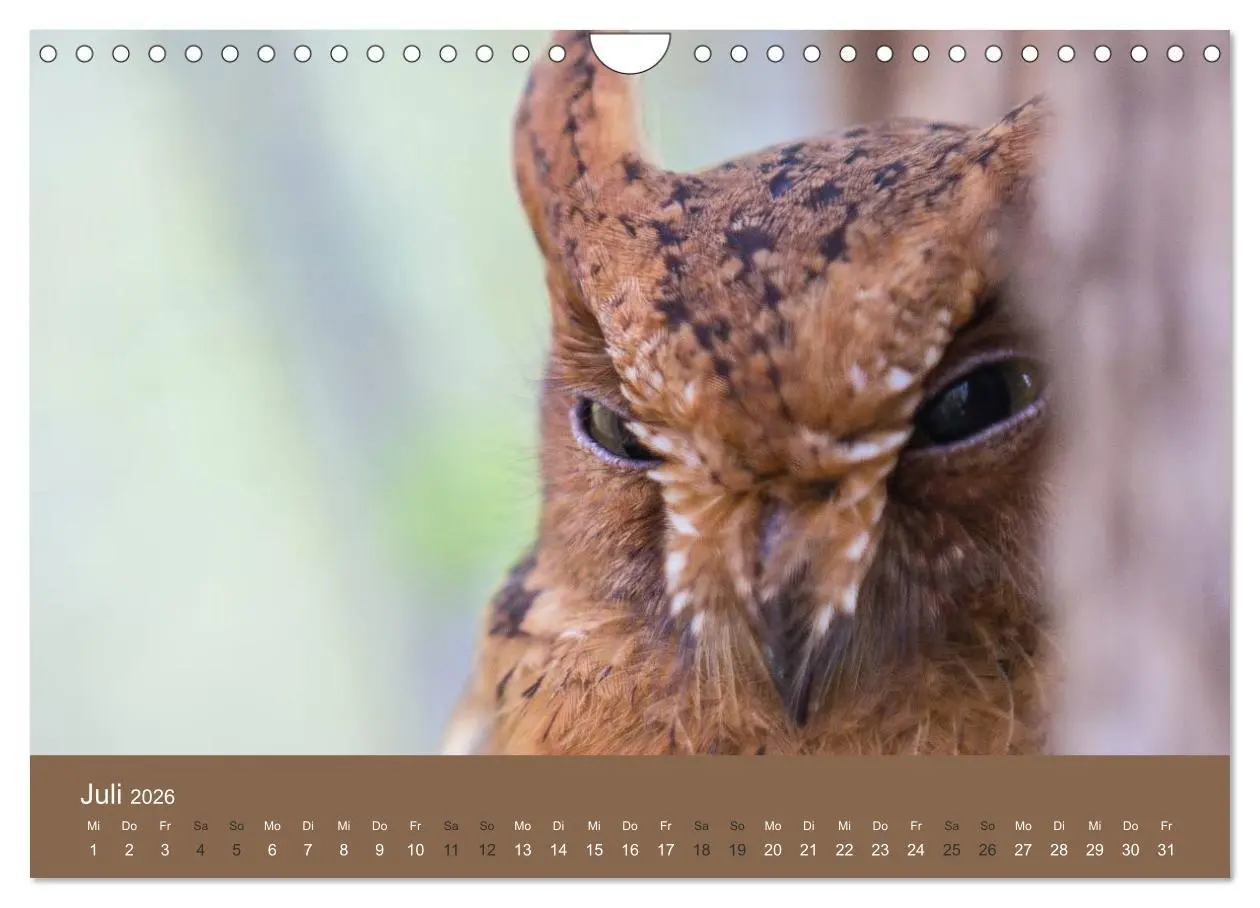 Bild: 9783516076677 | Madagaskars wundersame Tierwelt (Wandkalender 2026 DIN A4 quer),...
