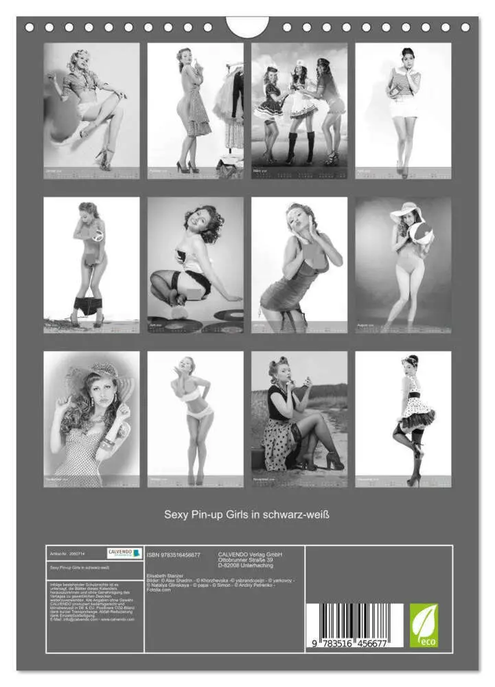 Bild: 9783516456677 | Sexy Pin-up Girls in schwarz-weiß (Wandkalender 2026 DIN A4 hoch),...