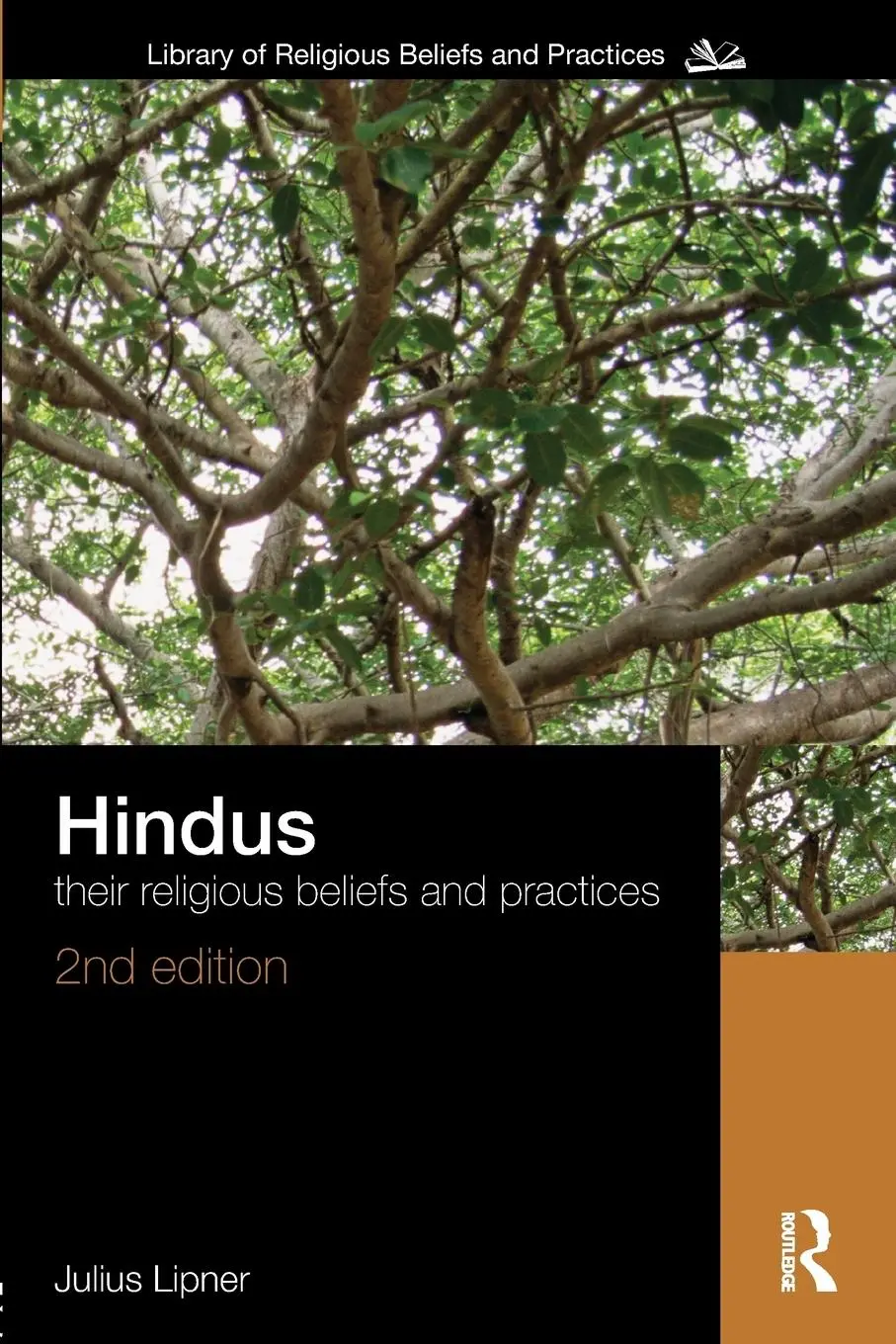 Cover: 9780415456777 | Hindus | Their Religious Beliefs and Practices | Julius Lipner | Buch