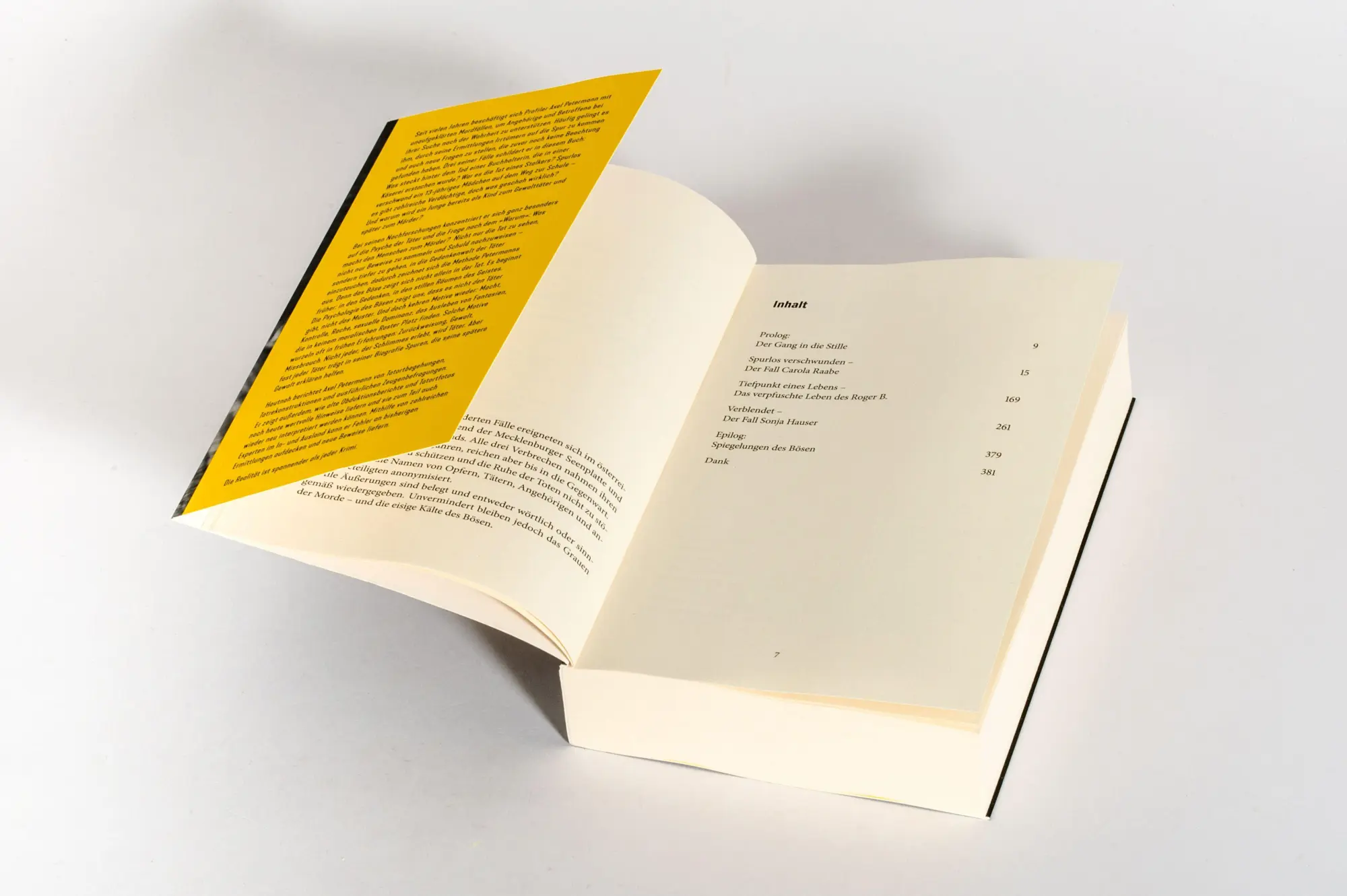 Bild: 9783453606777 | Die Psyche des Bösen | Axel Petermann | Taschenbuch | 384 S. | Deutsch