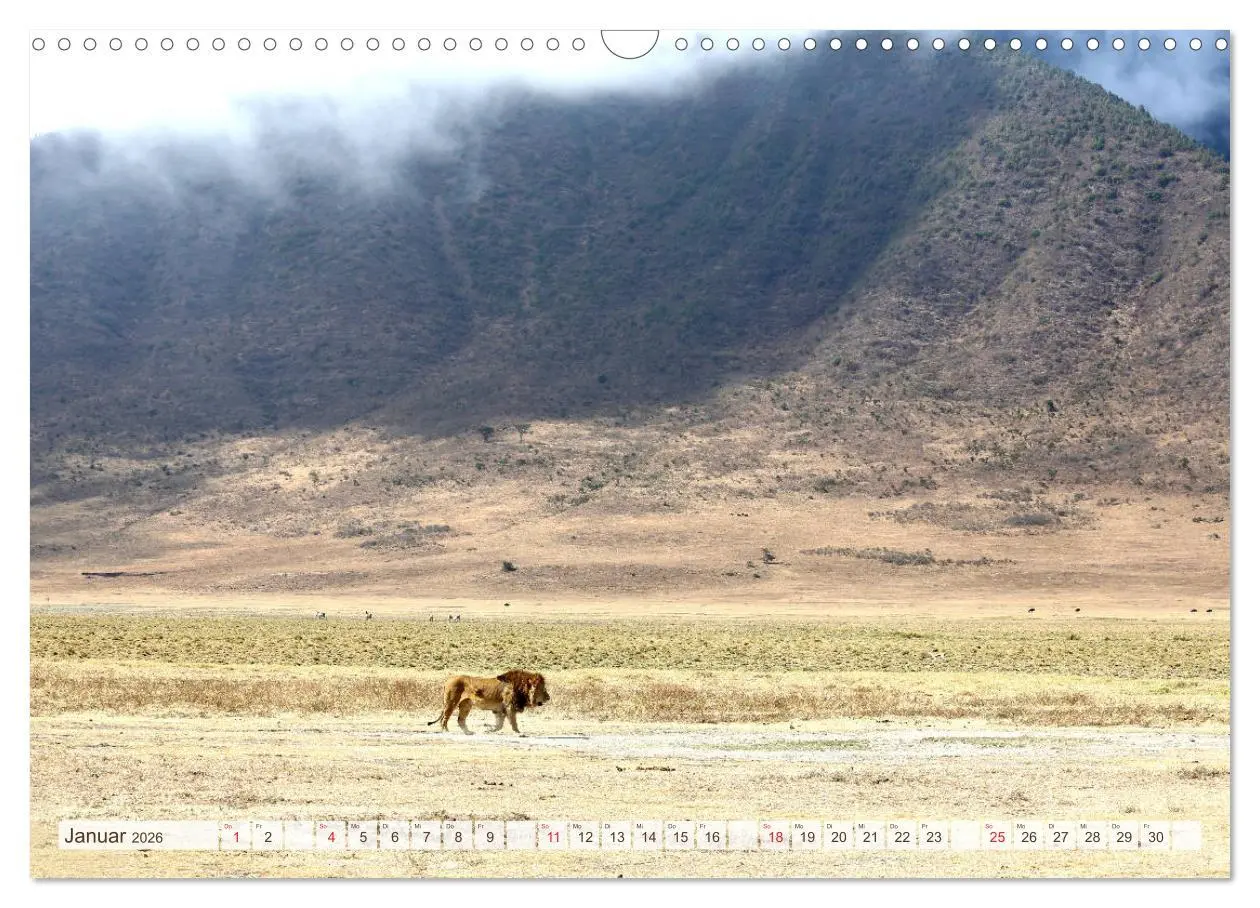Bild: 9783457976777 | Tansania - Durch die Nationalparks Ostafrikas (Wandkalender 2026...