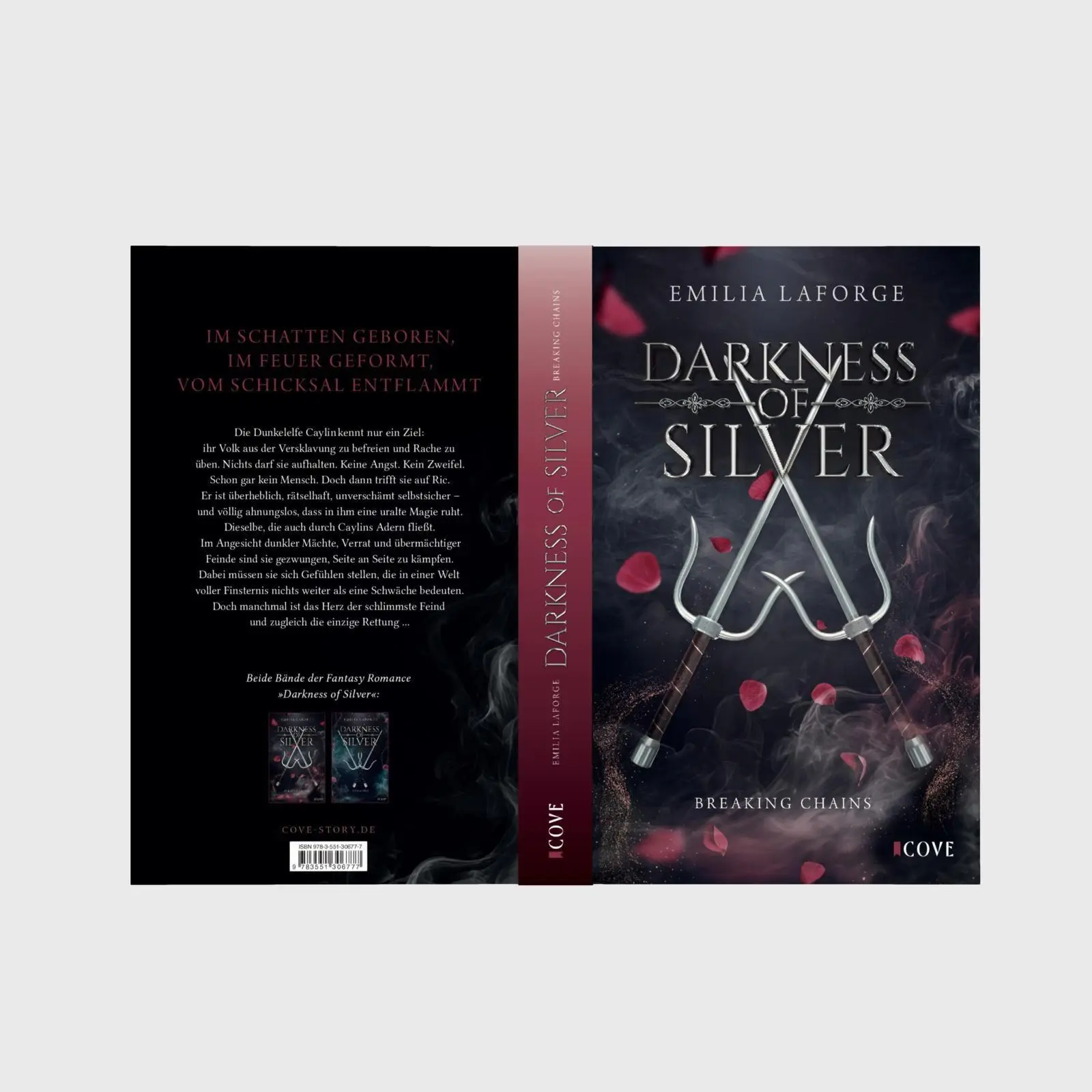 Bild: 9783551306777 | Darkness of Silver 1: Breaking Chains | Emilia Laforge | Taschenbuch
