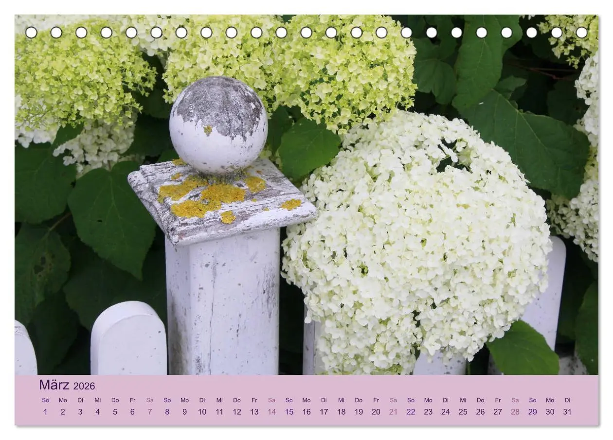 Bild: 9783516126877 | Hortensien 2026. Farbenprächtige Impressionen aus dem Garten...