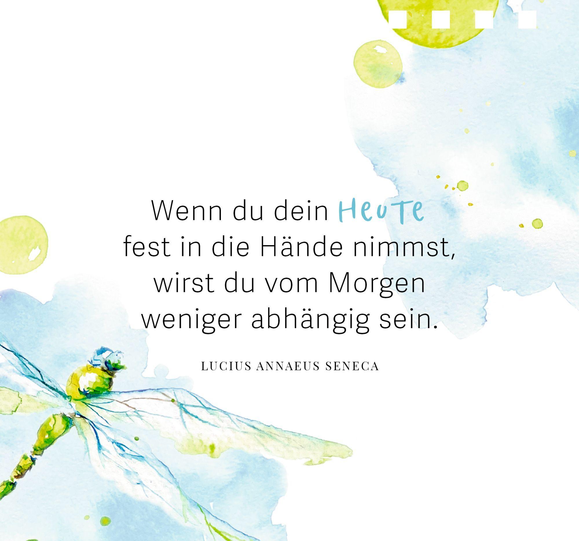Bild: 9783649646877 | Jugend ist aus, aber Prosecco wäre noch da | Julia Borchers | Buch
