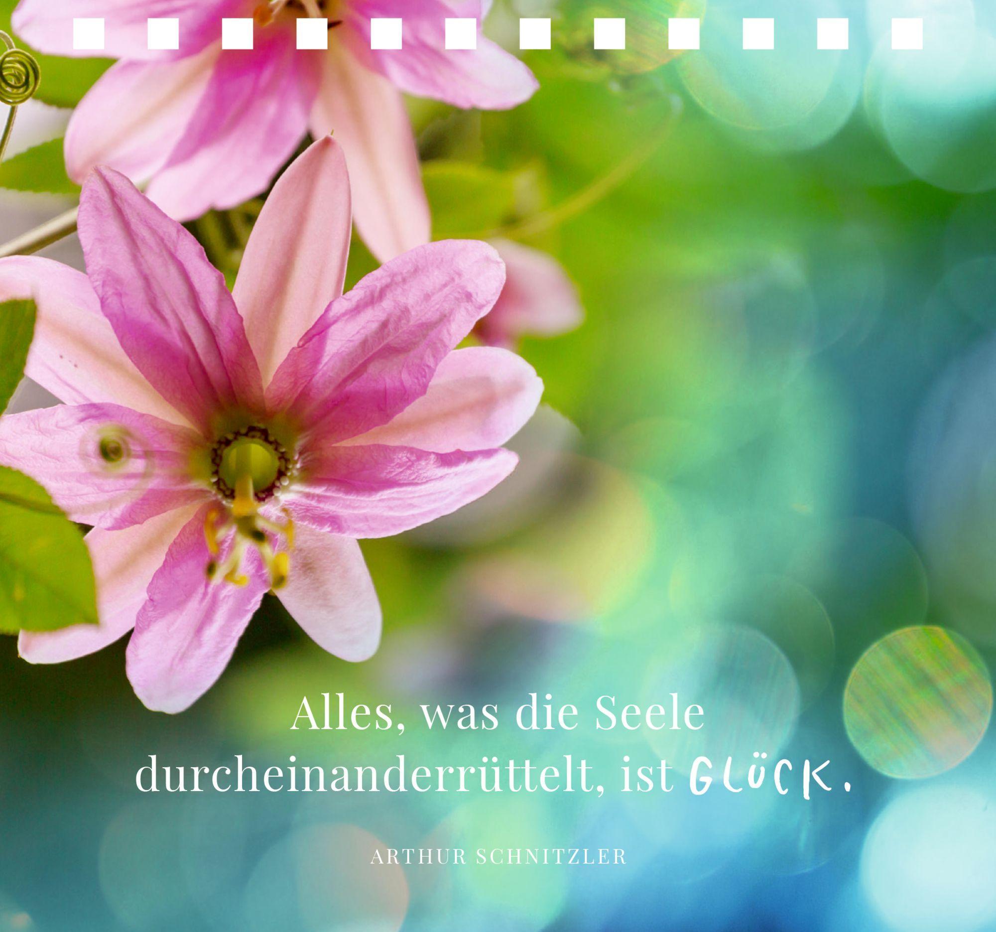 Bild: 9783649646877 | Jugend ist aus, aber Prosecco wäre noch da | Julia Borchers | Buch