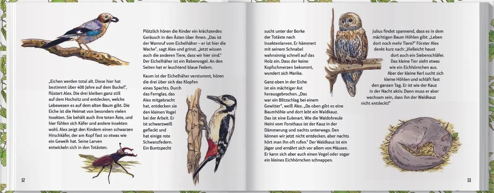 Bild: 9783784356877 | Marike und Julius - Entdecke mit uns den Wald | Guido Höner (u. a.)