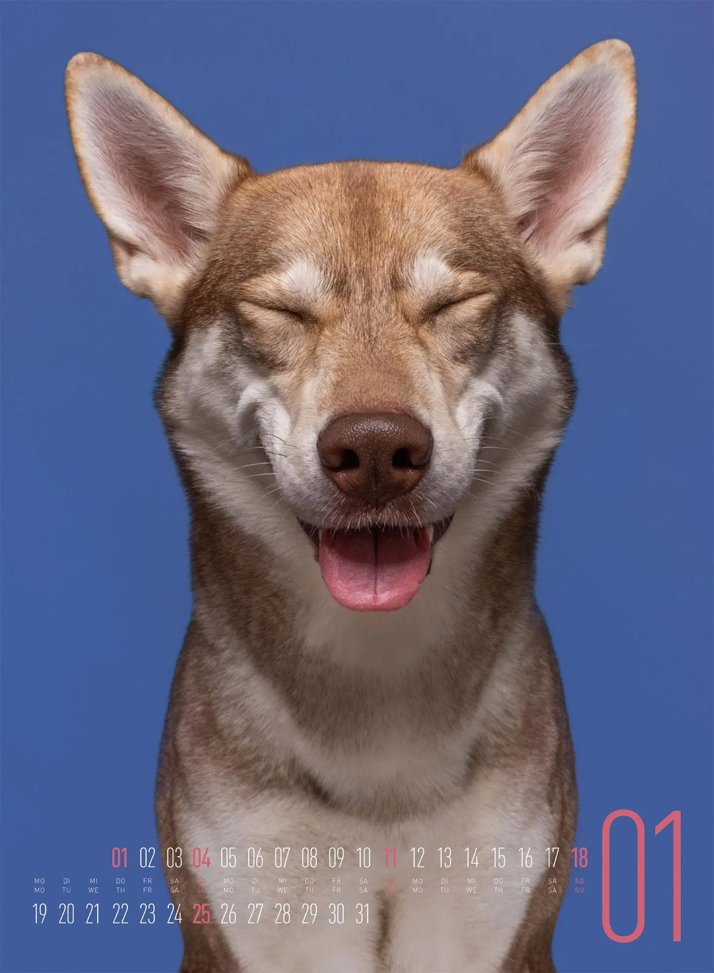 Bild: 9783838426877 | Frei Schnauze Kalender 2026 | Elke Vogelsang | Kalender | 14 S. | 2026