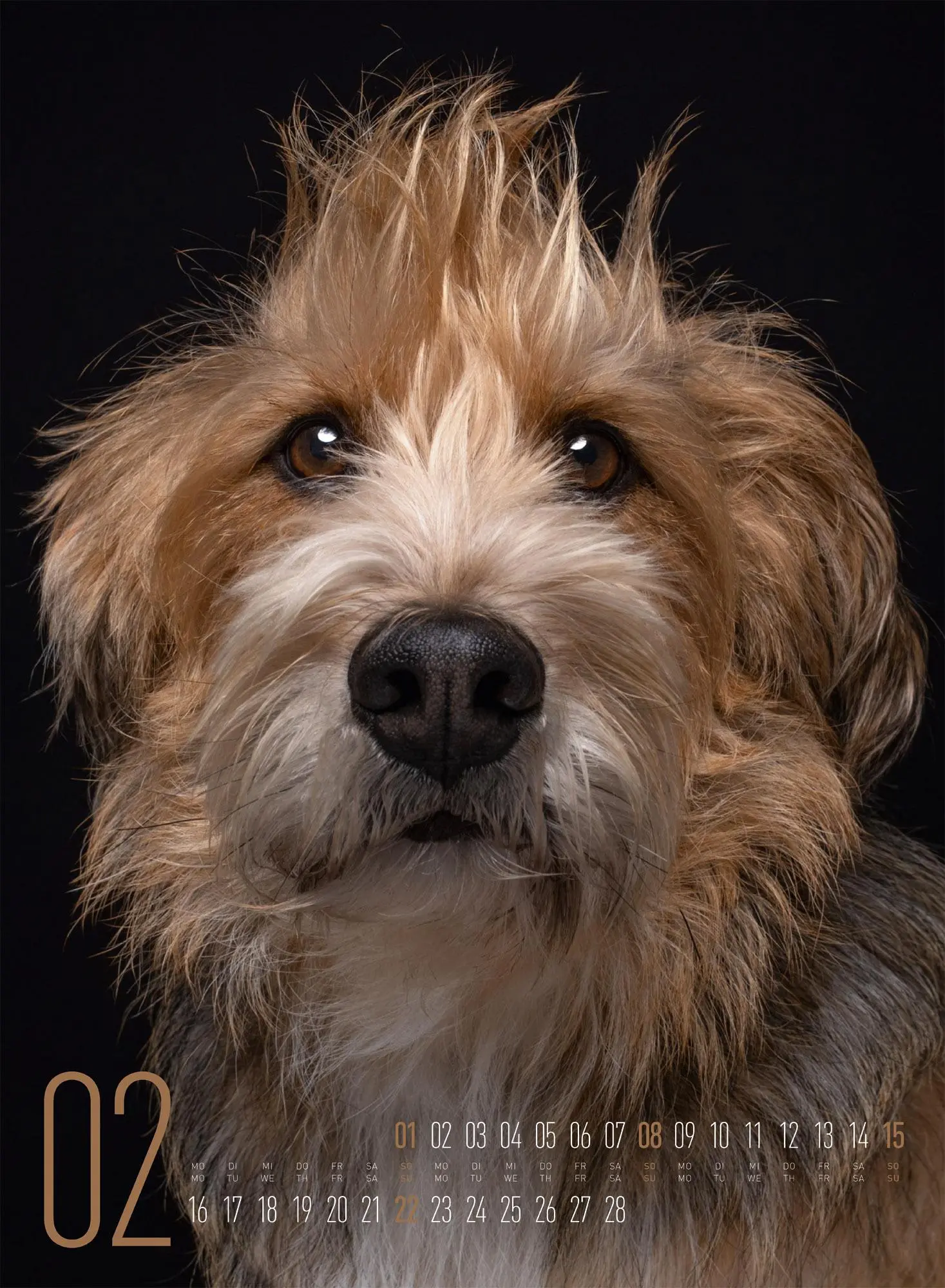 Bild: 9783838426877 | Frei Schnauze Kalender 2026 | Elke Vogelsang | Kalender | 14 S. | 2026
