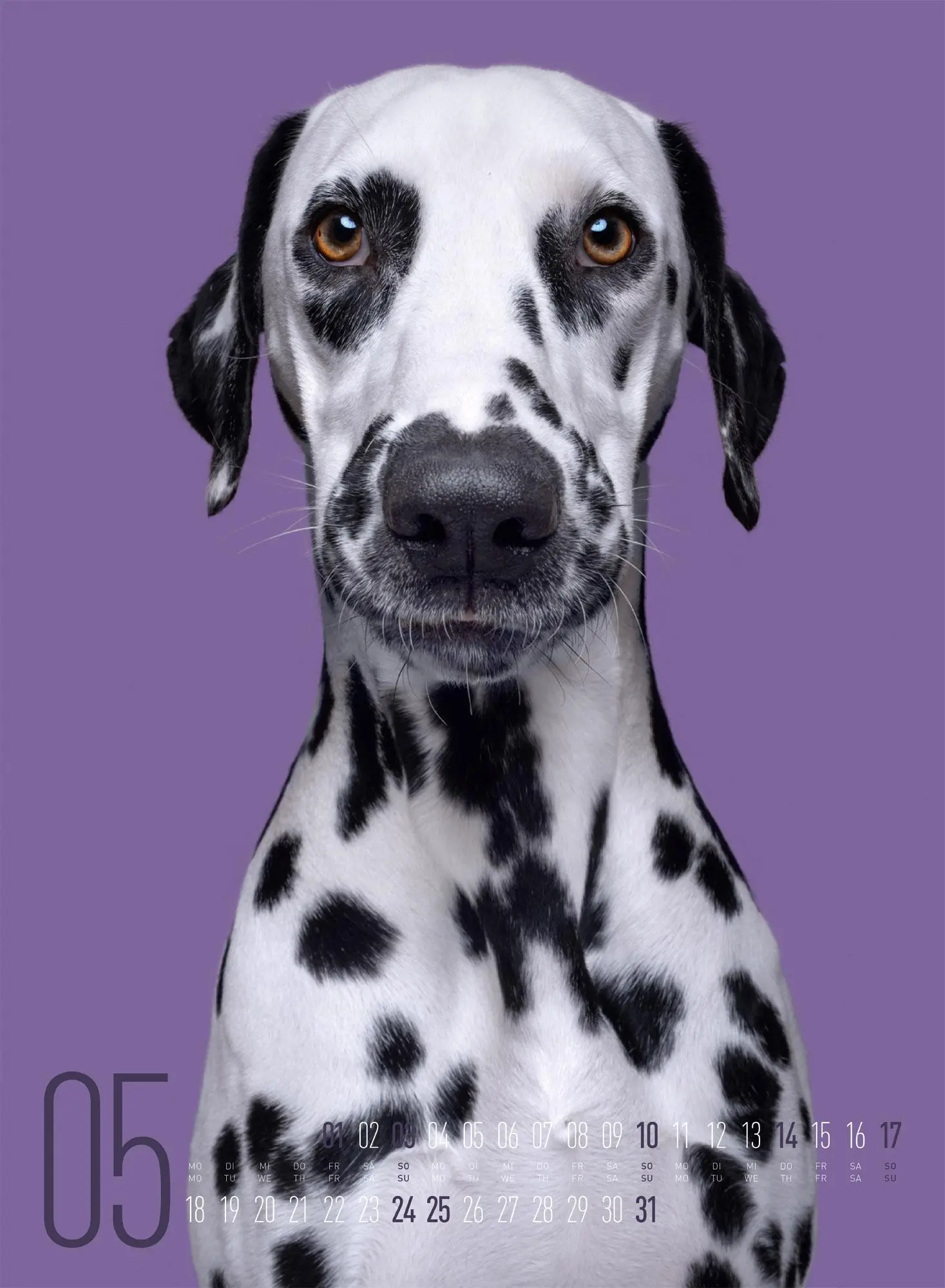 Bild: 9783838426877 | Frei Schnauze Kalender 2026 | Elke Vogelsang | Kalender | 14 S. | 2026