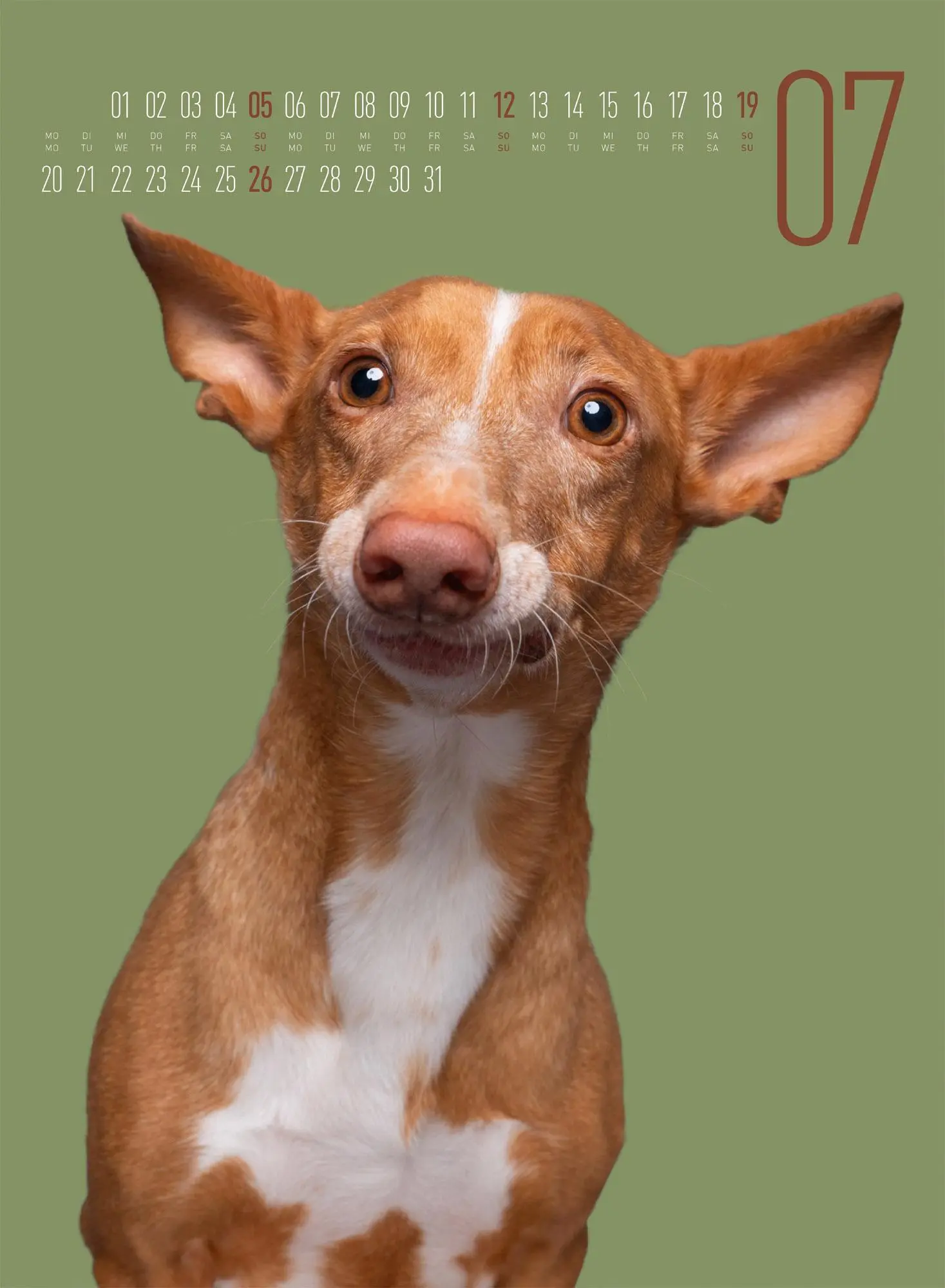 Bild: 9783838426877 | Frei Schnauze Kalender 2026 | Elke Vogelsang | Kalender | 14 S. | 2026