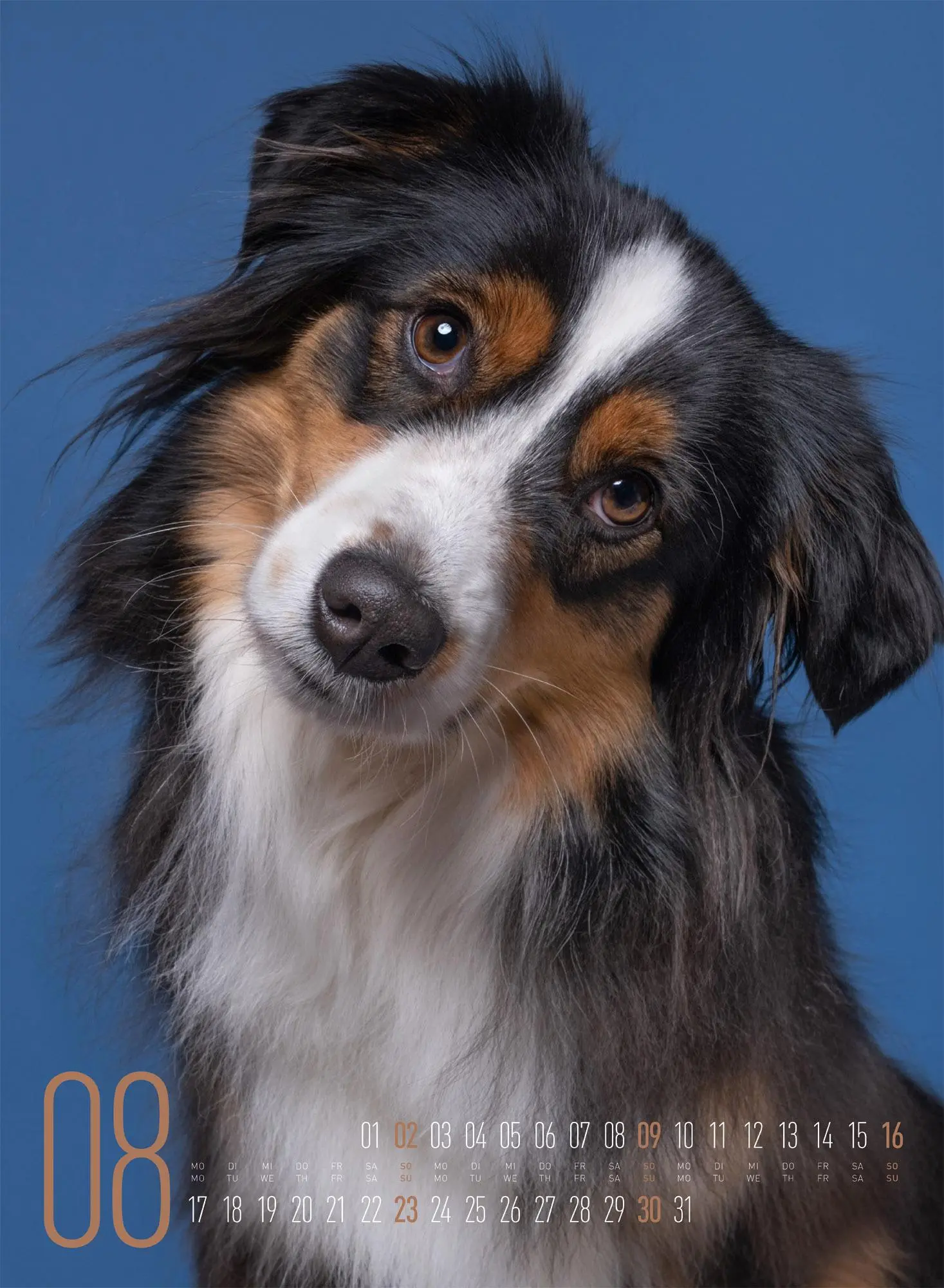 Bild: 9783838426877 | Frei Schnauze Kalender 2026 | Elke Vogelsang | Kalender | 14 S. | 2026