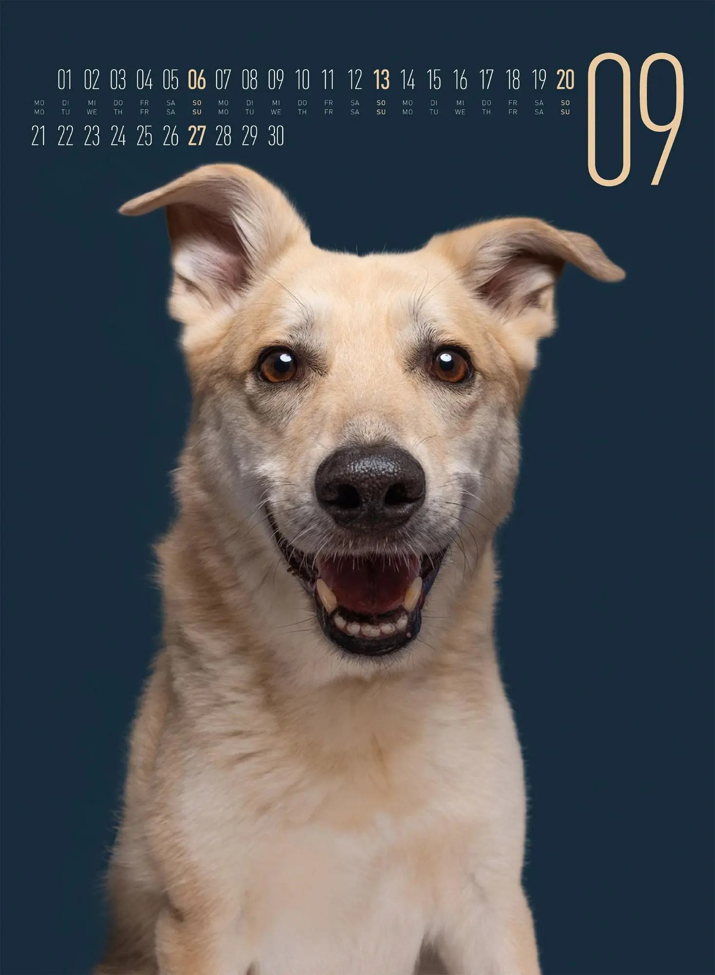 Bild: 9783838426877 | Frei Schnauze Kalender 2026 | Elke Vogelsang | Kalender | 14 S. | 2026