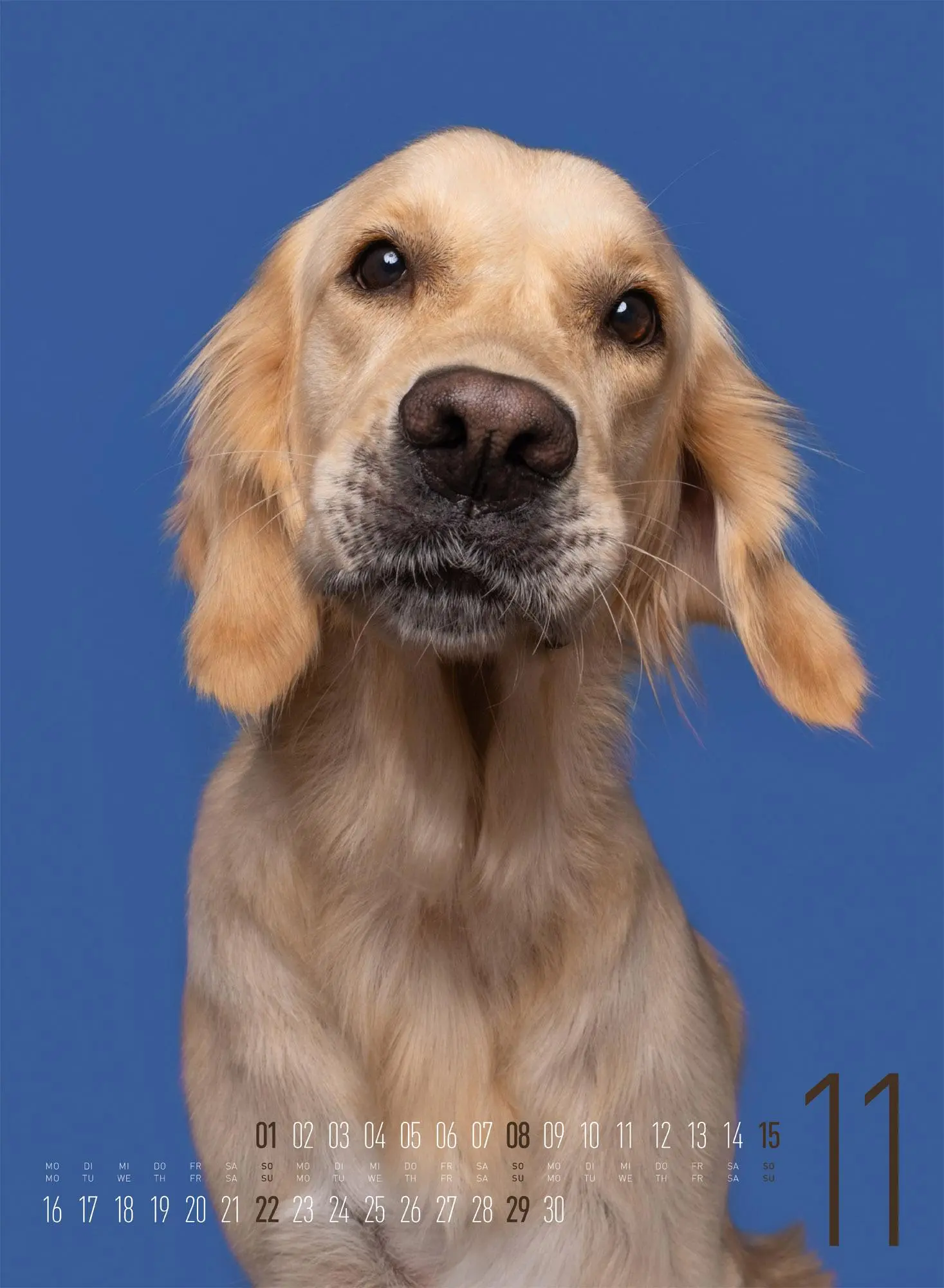 Bild: 9783838426877 | Frei Schnauze Kalender 2026 | Elke Vogelsang | Kalender | 14 S. | 2026