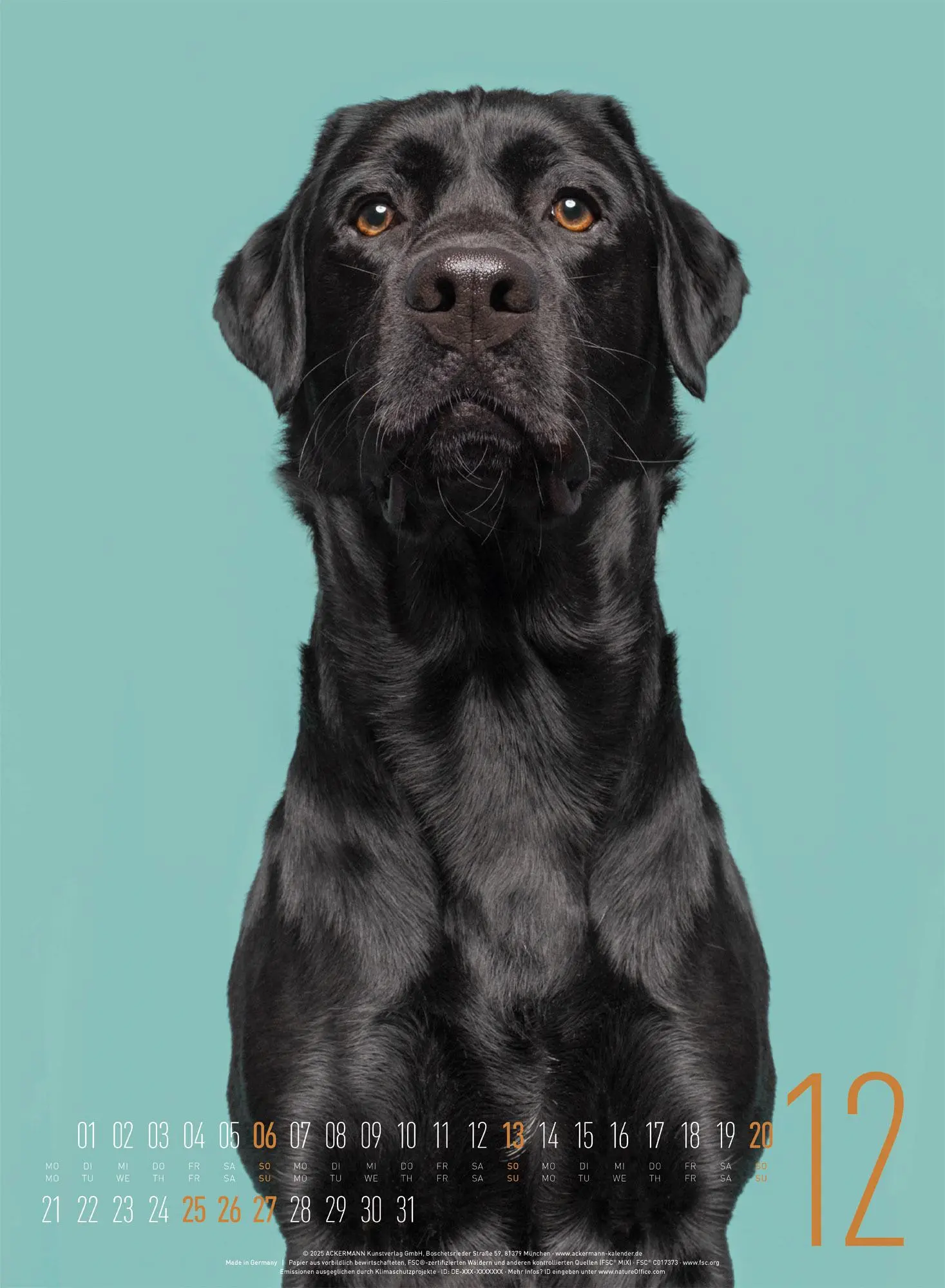 Bild: 9783838426877 | Frei Schnauze Kalender 2026 | Elke Vogelsang | Kalender | 14 S. | 2026