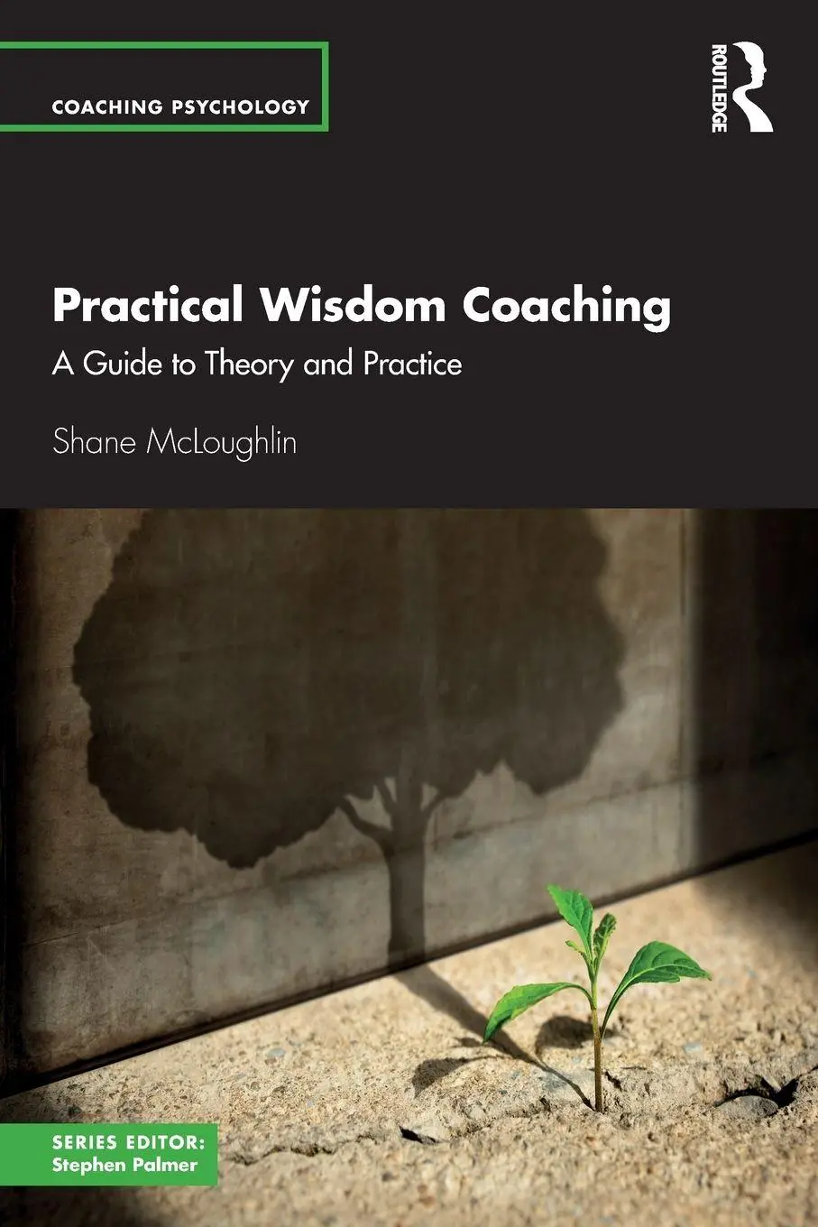 Cover: 9781032966977 | Practical Wisdom Coaching | A Guide to Theory and Practice | Buch