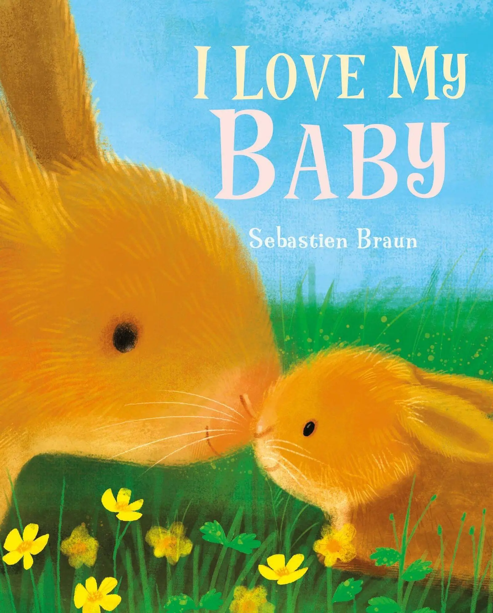 Cover: 9781910716977 | I Love My Baby | Sebastien Braun | Buch | Papp-Bilderbuch | Englisch