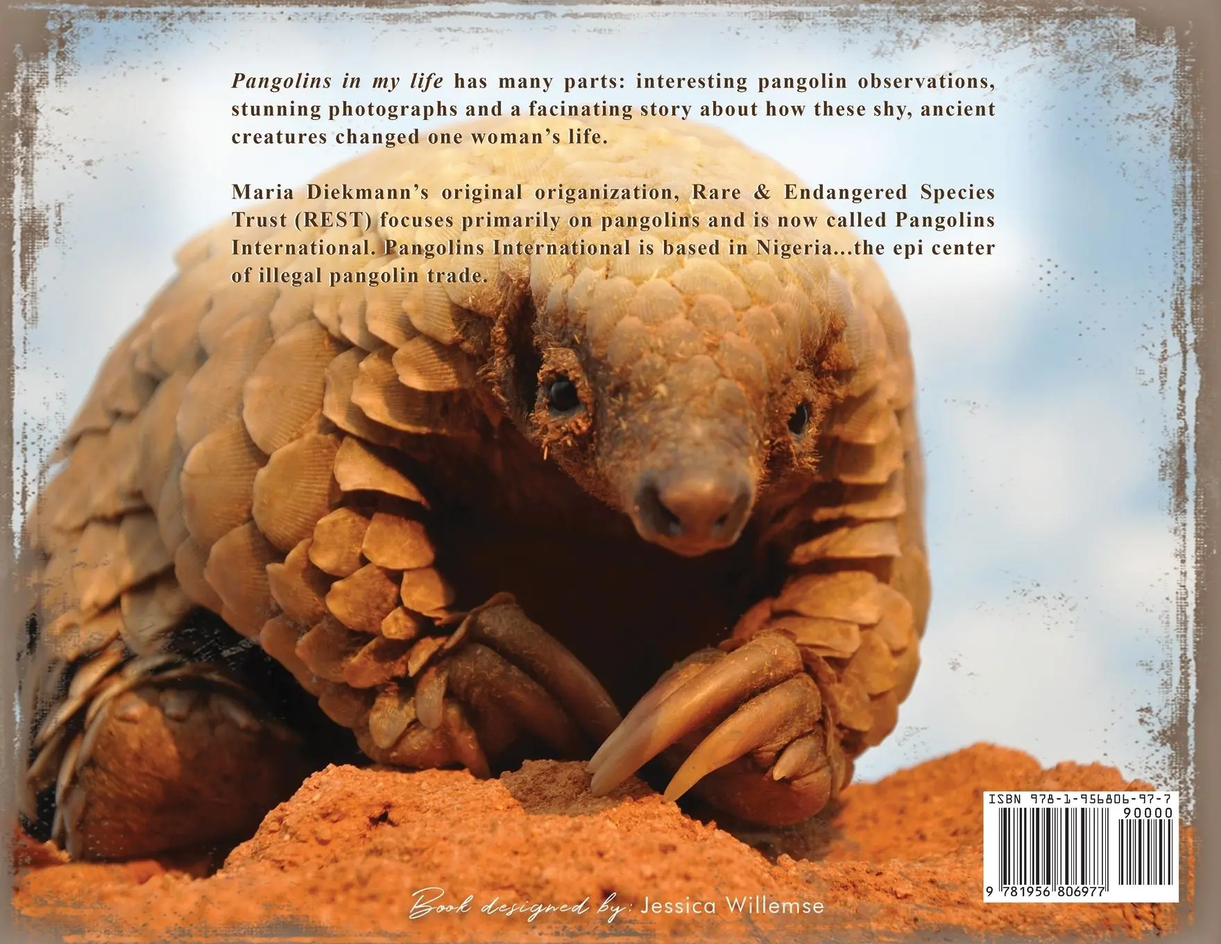 Rückseite: 9781956806977 | Pangolins in My Life | Maria Diekmann | Taschenbuch | Englisch | 2023