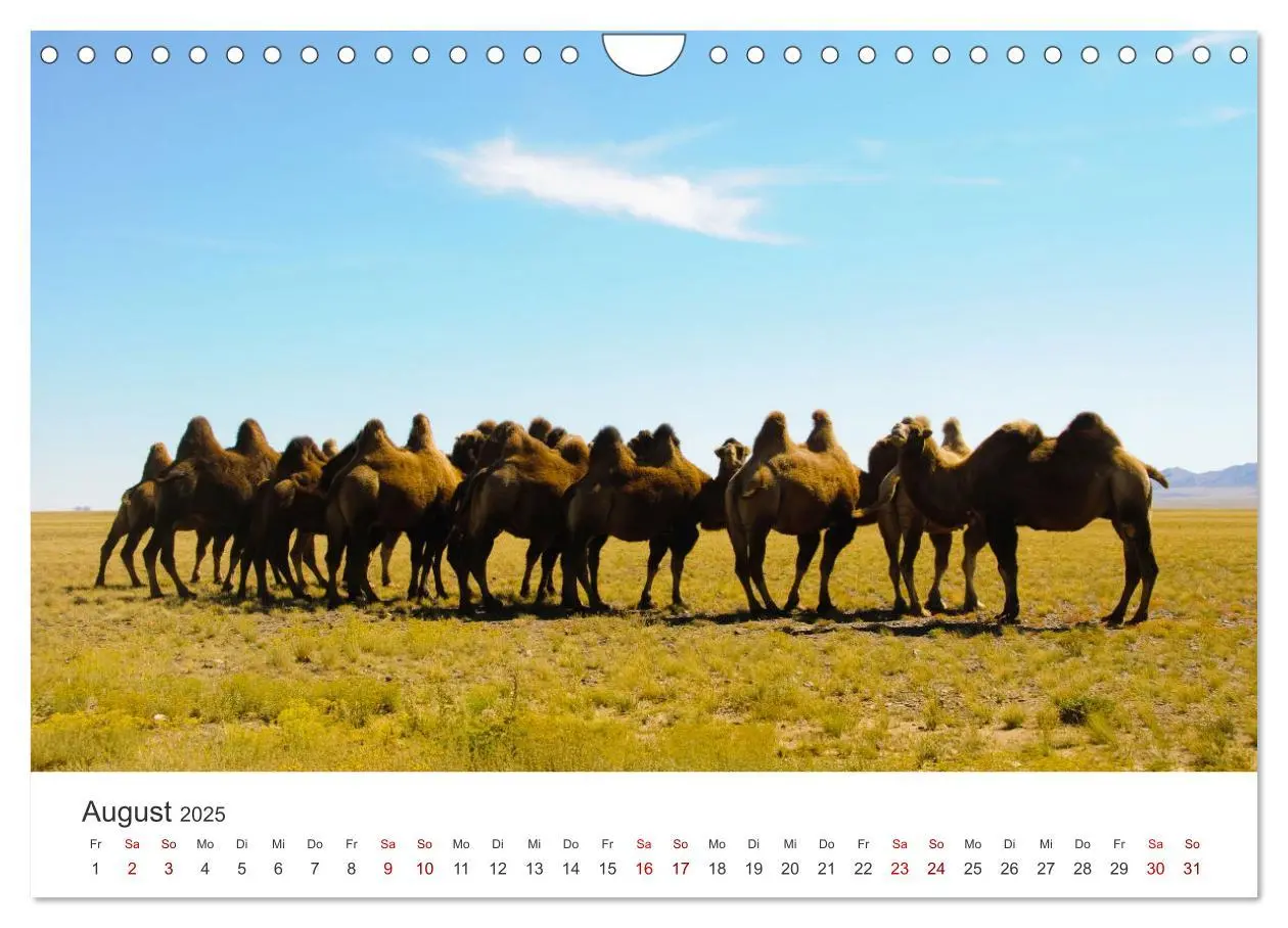 Bild: 9783435006977 | Mongolei - Endlose Steppe und wilde Natur. (Wandkalender 2025 DIN...