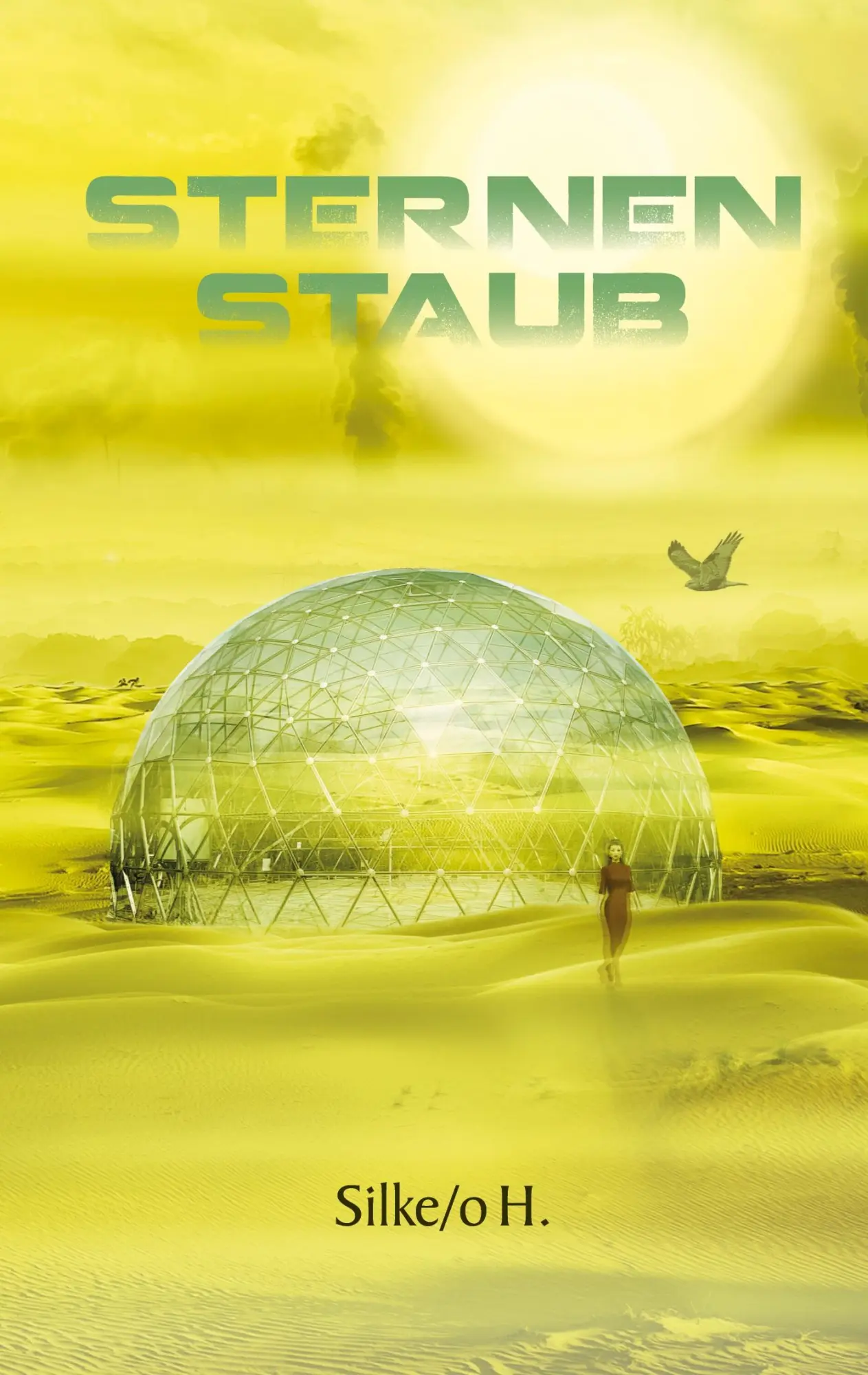 Cover: 9783752666977 | Sternenstaub | Silke Hoffmann | Taschenbuch | Paperback | 344 S.