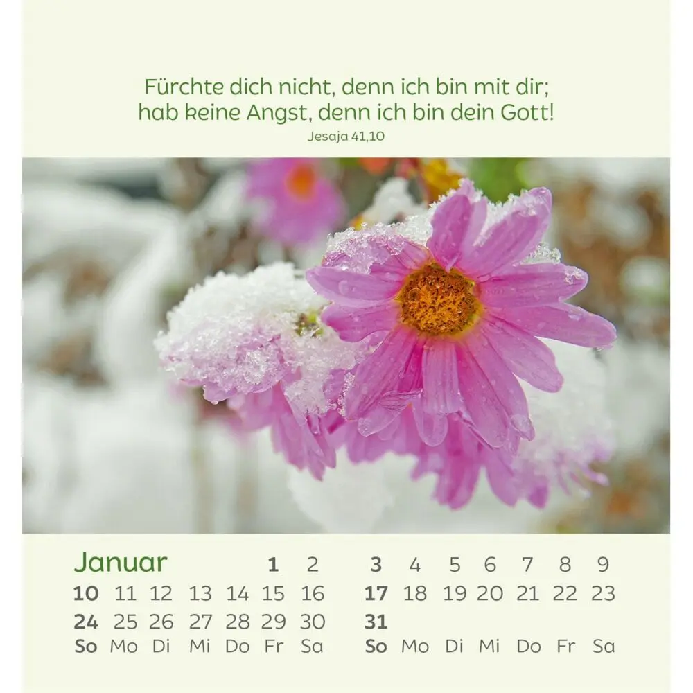 Bild: 9783754847077 | Kleine Blumengrüße 2027 | Kalender | Spiralbindung | 14 S. | Deutsch