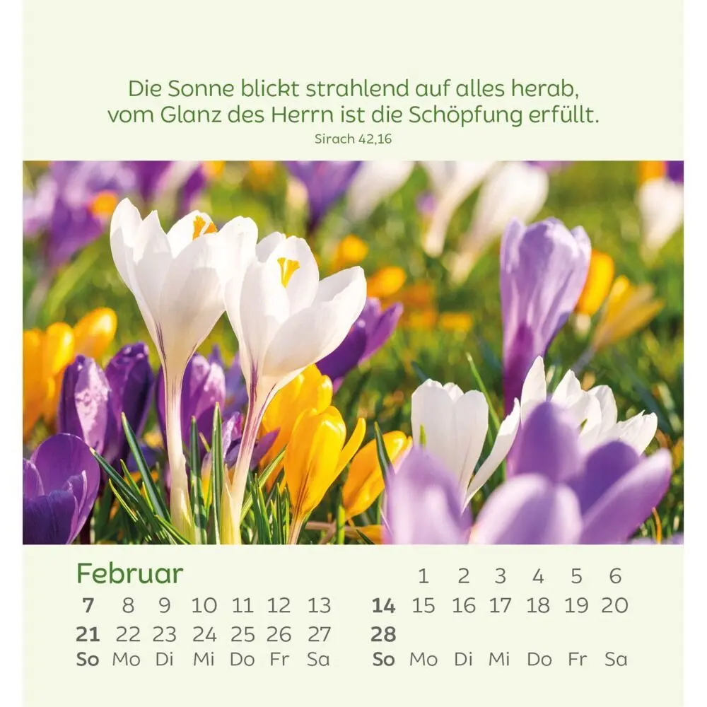 Bild: 9783754847077 | Kleine Blumengrüße 2027 | Kalender | Spiralbindung | 14 S. | Deutsch