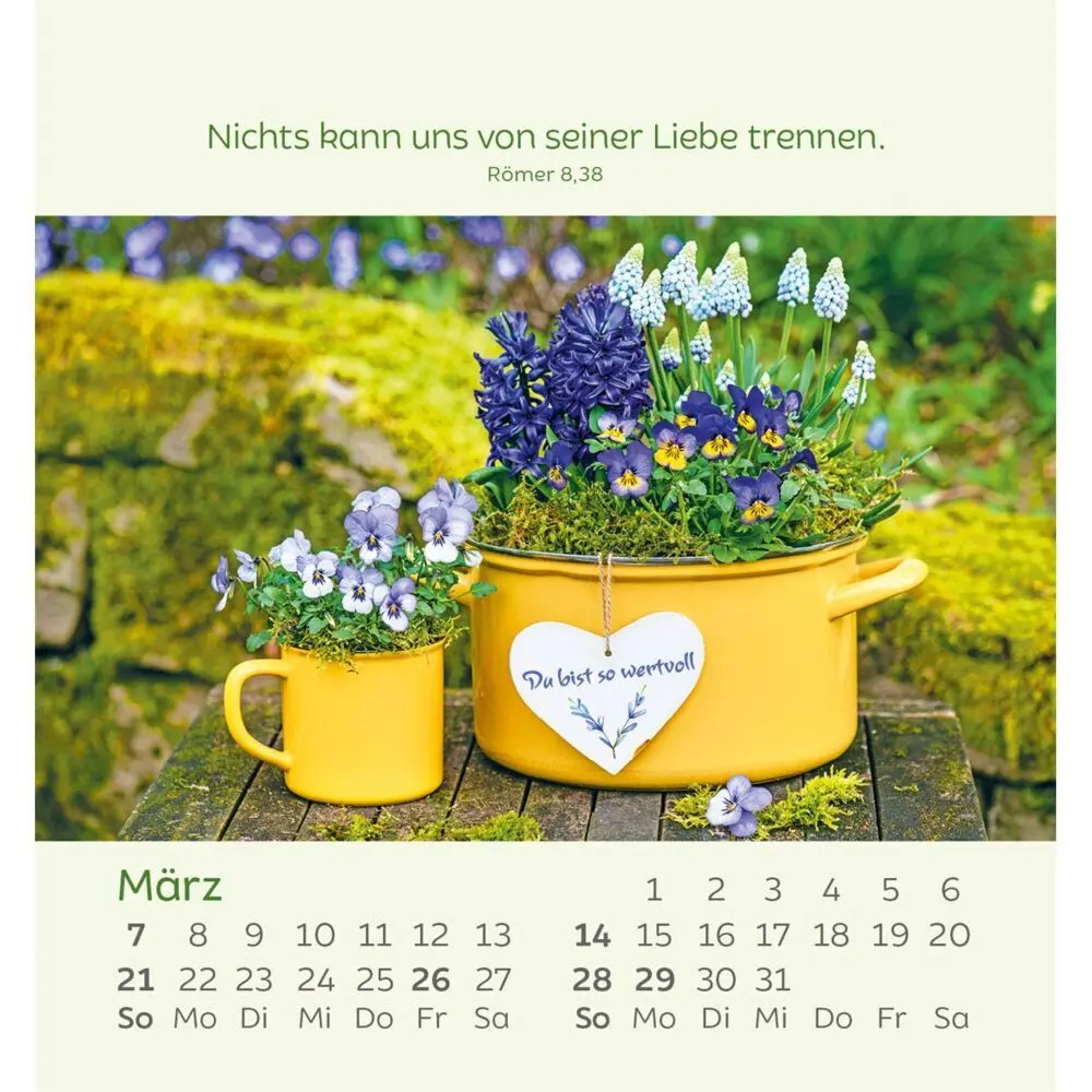 Bild: 9783754847077 | Kleine Blumengrüße 2027 | Kalender | Spiralbindung | 14 S. | Deutsch