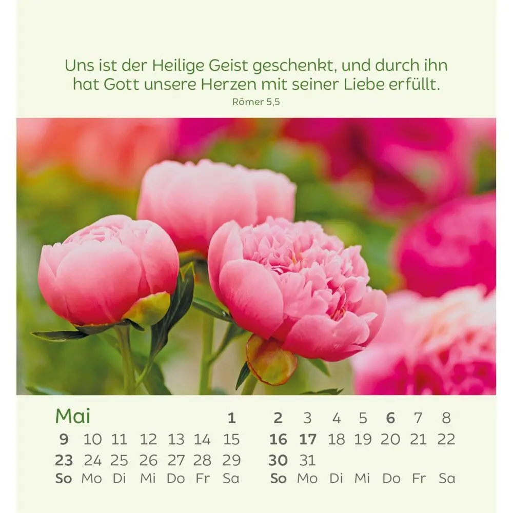 Bild: 9783754847077 | Kleine Blumengrüße 2027 | Kalender | Spiralbindung | 14 S. | Deutsch