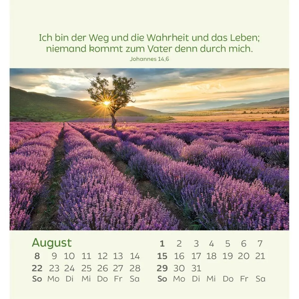 Bild: 9783754847077 | Kleine Blumengrüße 2027 | Kalender | Spiralbindung | 14 S. | Deutsch