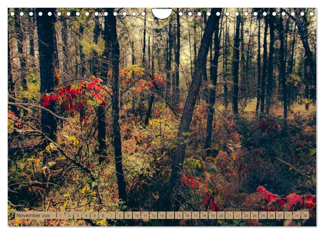 Bild: 9783457907177 | Wildwuchs 2026 (Wandkalender 2026 DIN A4 quer), CALVENDO...