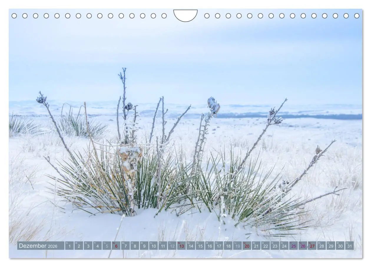 Bild: 9783457907177 | Wildwuchs 2026 (Wandkalender 2026 DIN A4 quer), CALVENDO...
