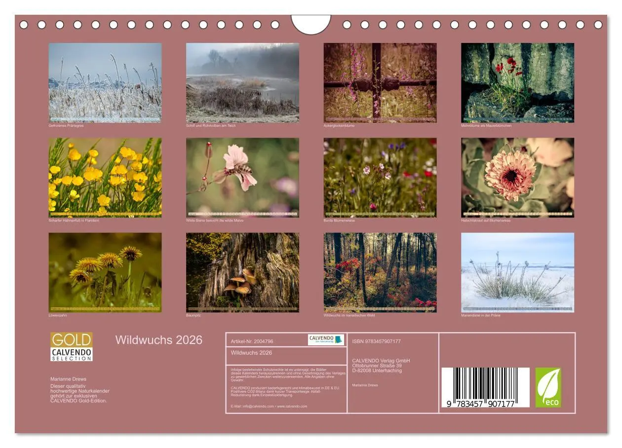 Bild: 9783457907177 | Wildwuchs 2026 (Wandkalender 2026 DIN A4 quer), CALVENDO...