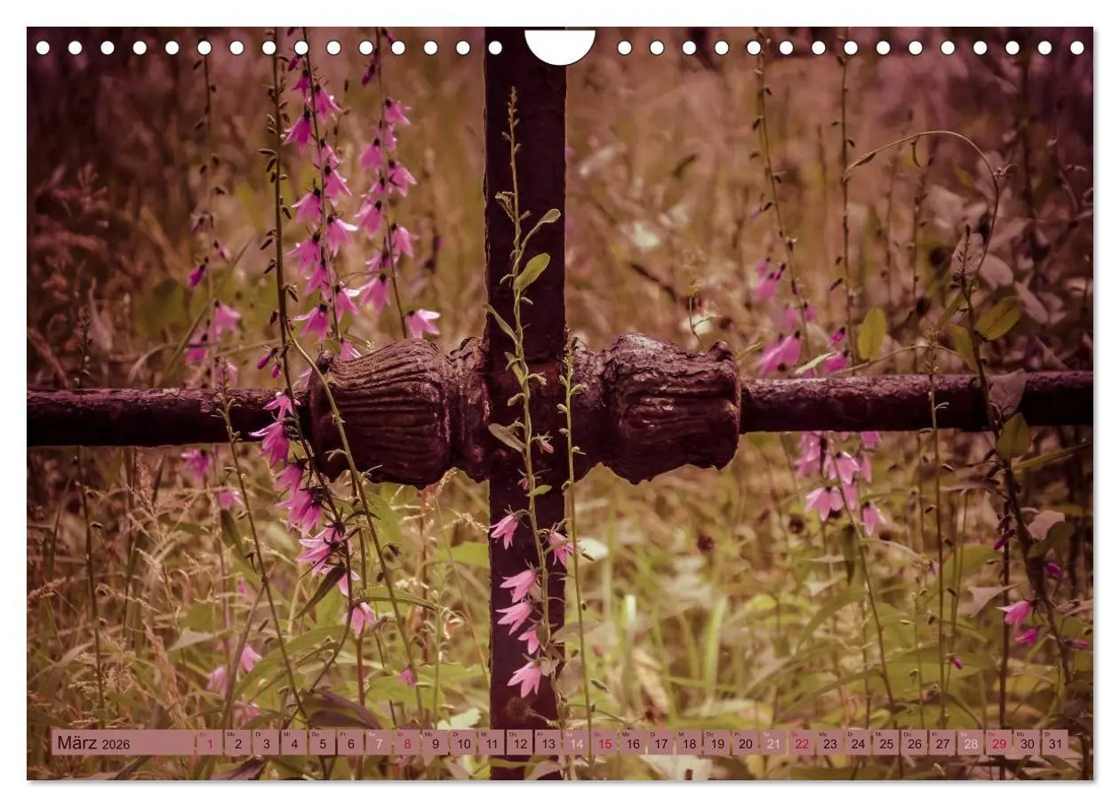 Bild: 9783457907177 | Wildwuchs 2026 (Wandkalender 2026 DIN A4 quer), CALVENDO...