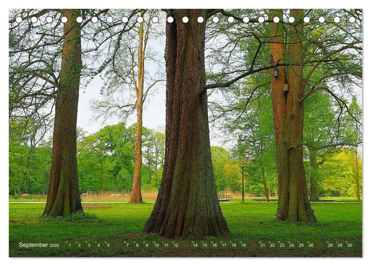 Bild: 9783457827277 | Impressionen - Gütersloh entlang der Dalke (Tischkalender 2026 DIN...