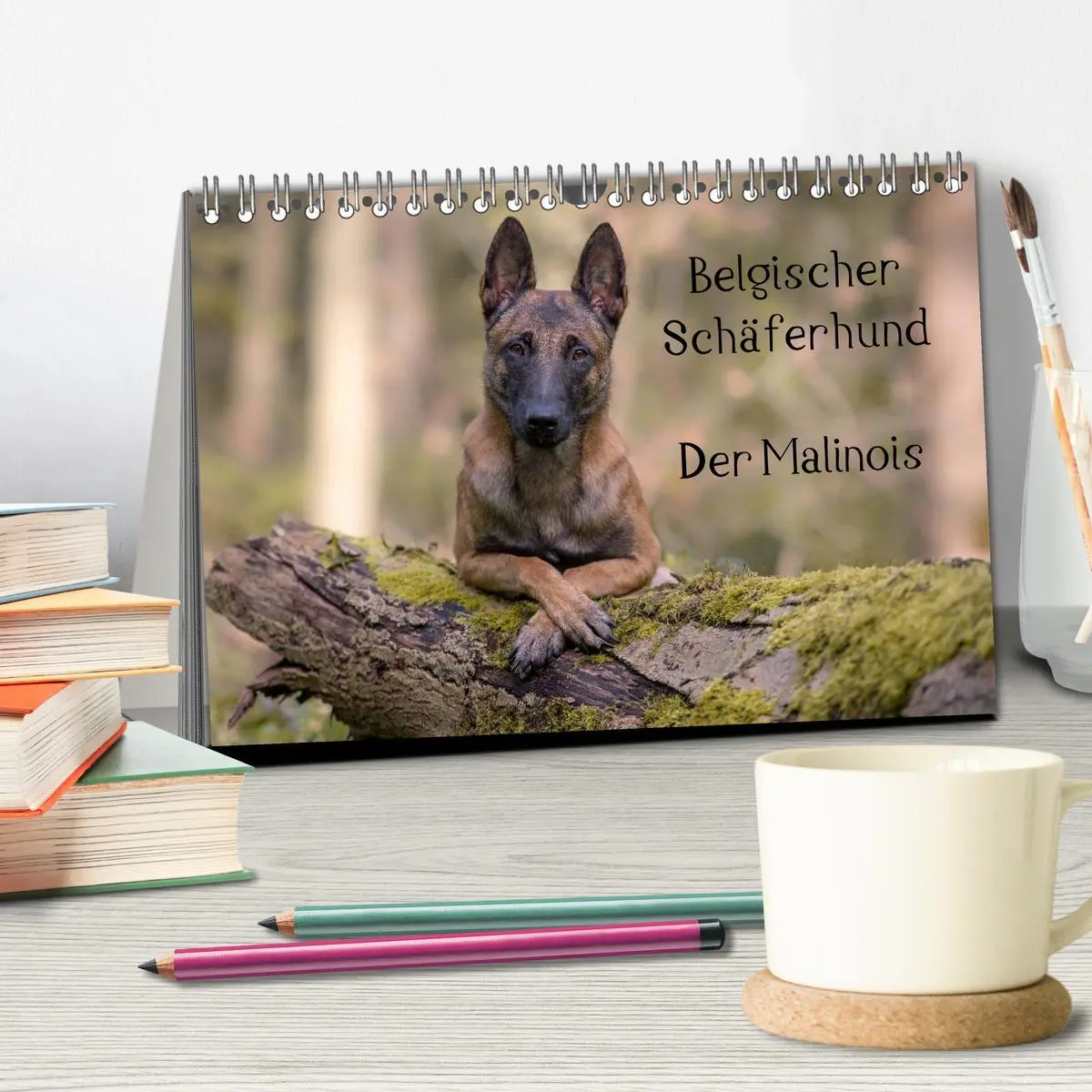 Bild: 9783516087277 | Belgischer Schäferhund - Der Malinois (Tischkalender 2026 DIN A5...